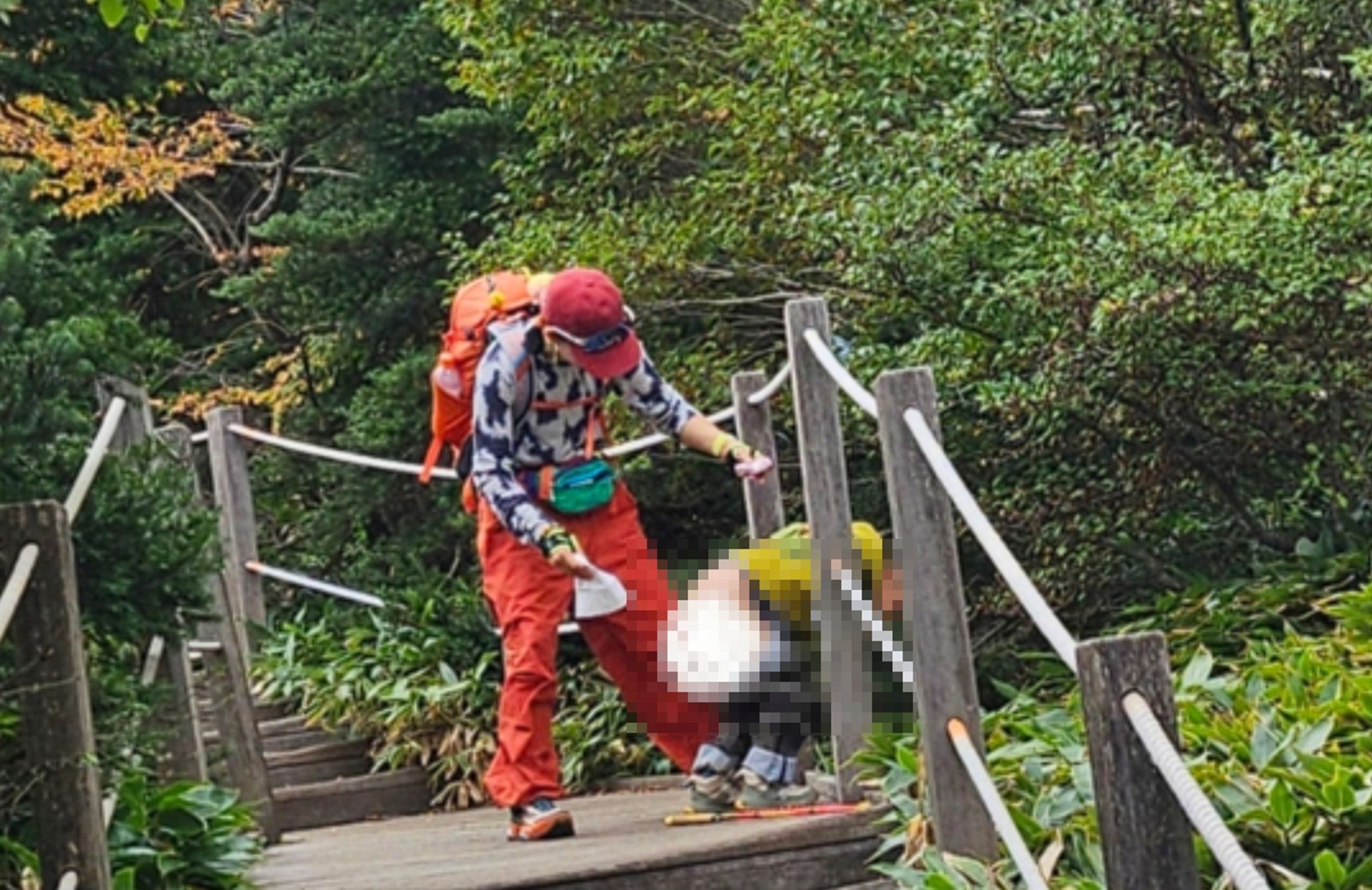 有韓國網友反應在濟州島的登山步道目擊疑似中國遊客公然解放、留下糞便。（翻攝網路）