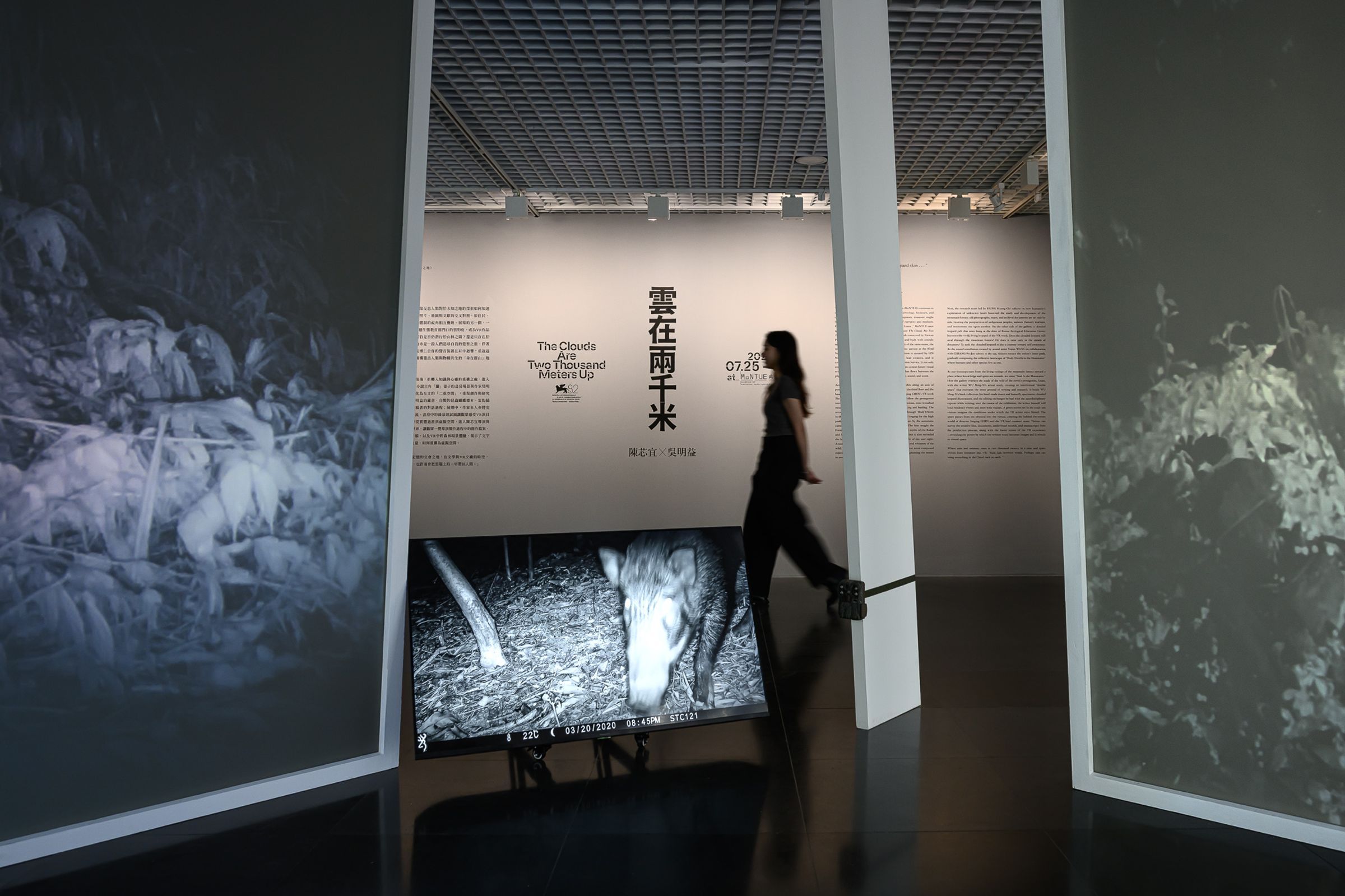 「雲在兩千米」的展覽是以VR和原作吳明益的小說為基礎。(北師美術館提供/王世邦 Anpis Wang攝影)