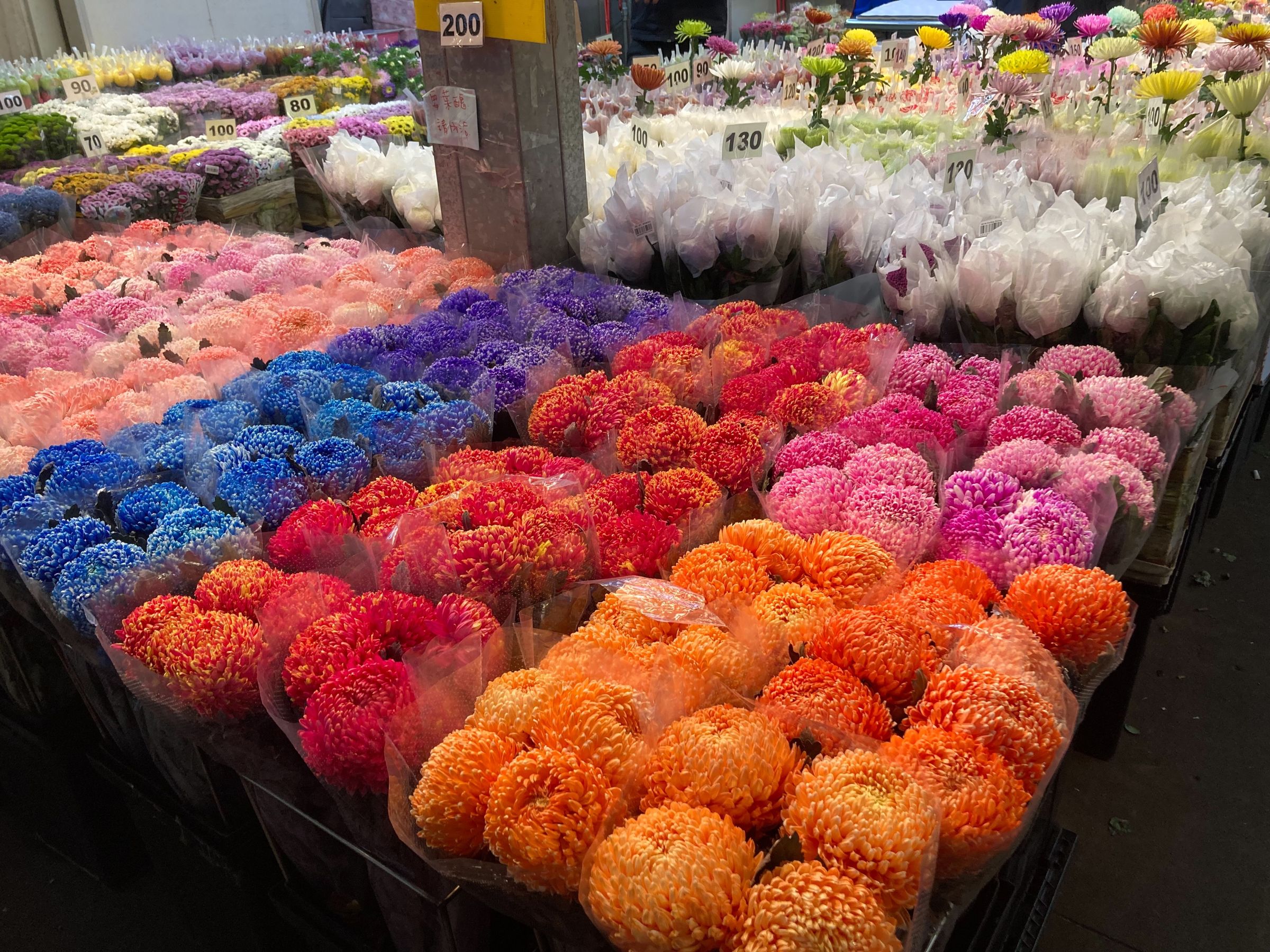 菊花切花顏色種類眾多。(台北花市提供)