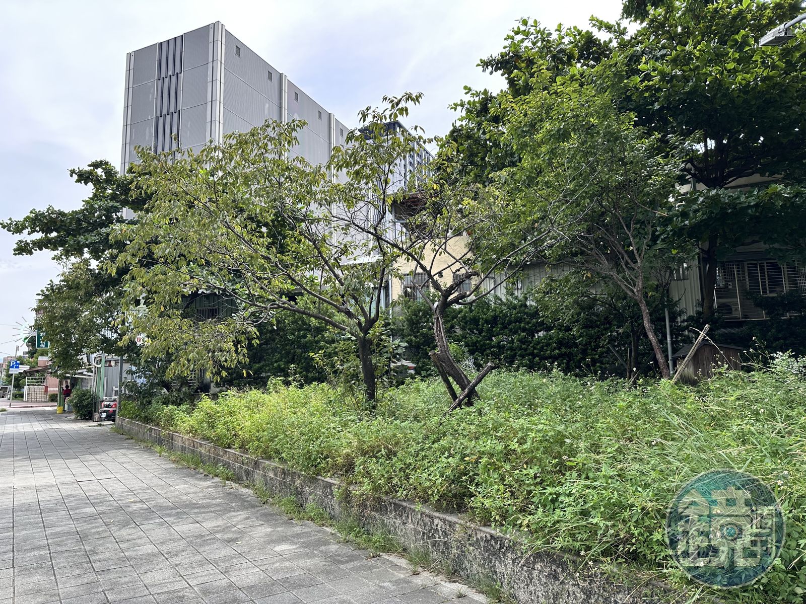 公園淪垃圾場近月不清理 台北市府局處互踢皮球