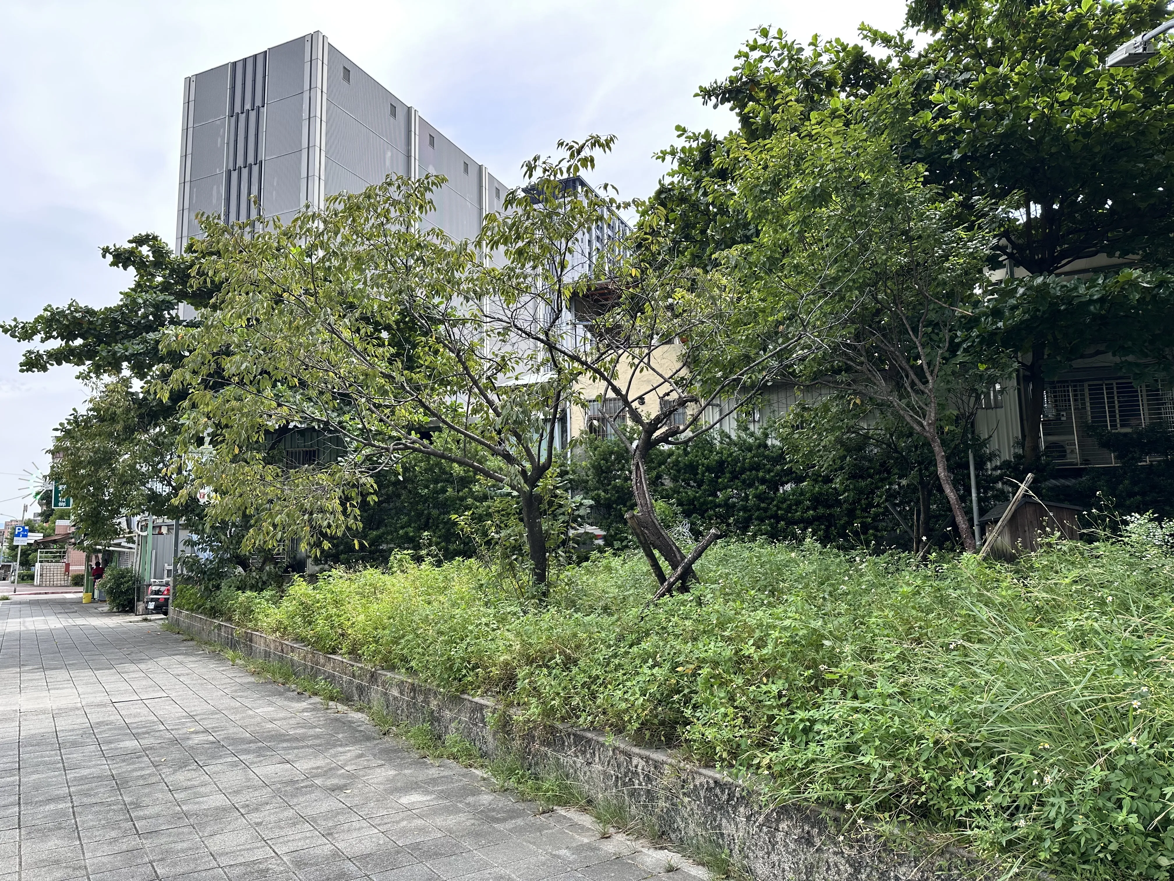 台北市萬華公一簡易公園雜草叢生還被棄置垃圾，未見清理。