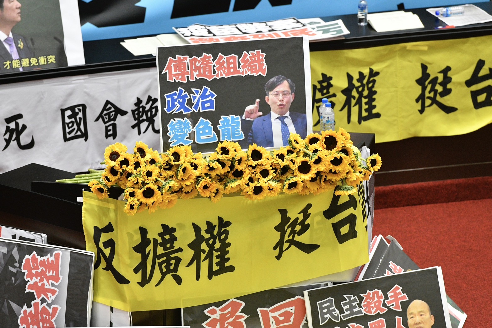 立法院內晚間開起太陽花,並掛起「反擴權,挺台灣」布條。
