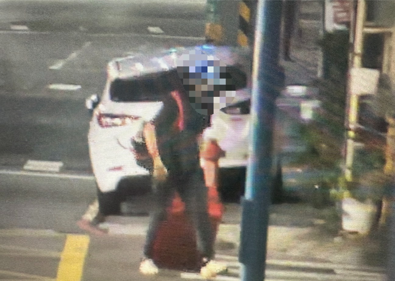 警方逮捕涉嫌棄置男屍的嫌犯。（翻攝畫面）