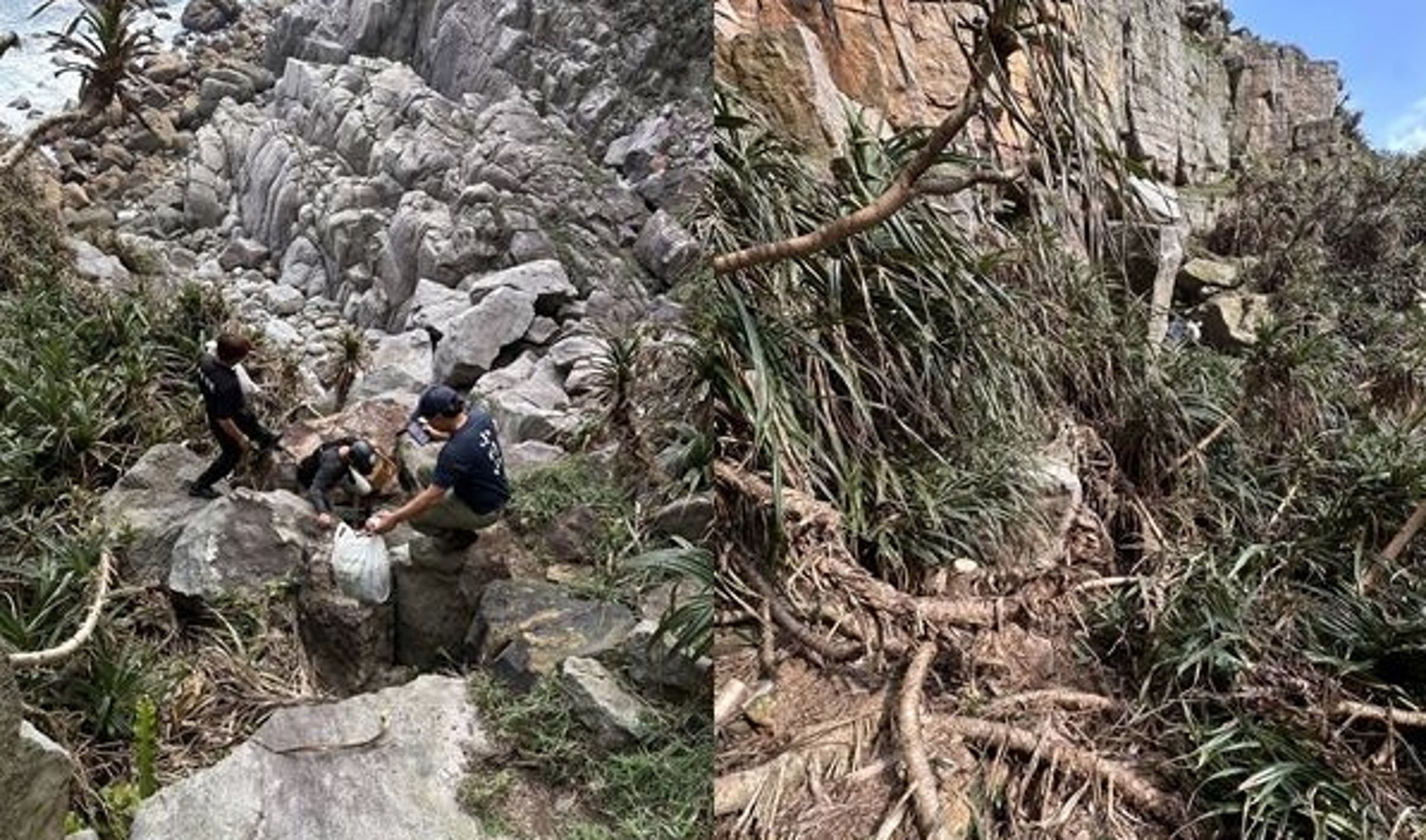 上週六一名熱心岩友在龍洞攀岩時驚見人類骨骸,迅速通攀岩協會。而後續警方至現場勘驗順利,尋獲遺骸與關鍵物品,將把遺骸交返家屬 。(翻攝畫面)