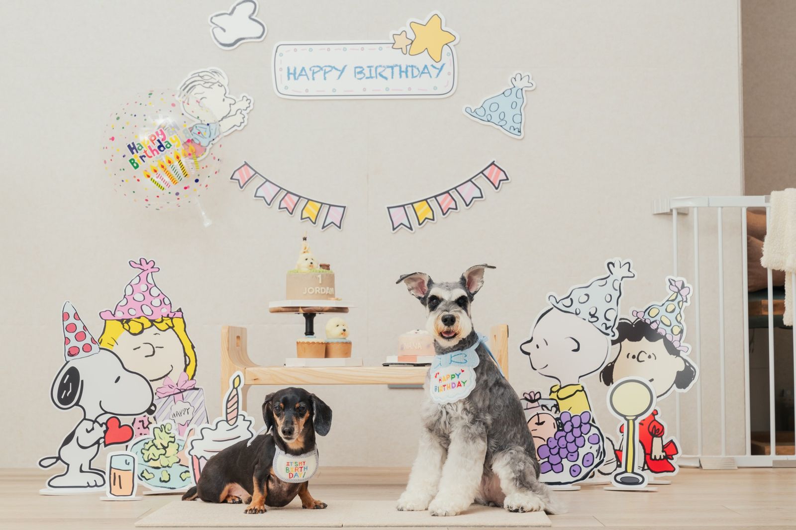 潘慧如因為經營旅館反而常常忽略自己的愛犬。（潘慧如臉書）