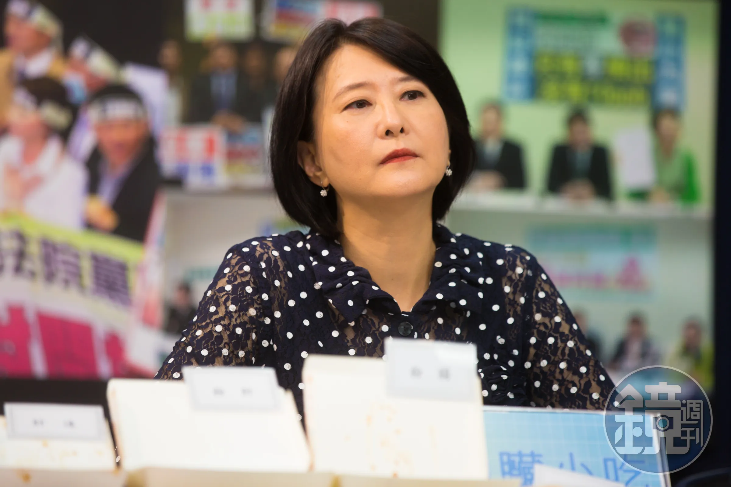 國民黨立委王鴻薇疑中選會建置系統卻沒運作，浪費千萬公帑。（本刊資料照）