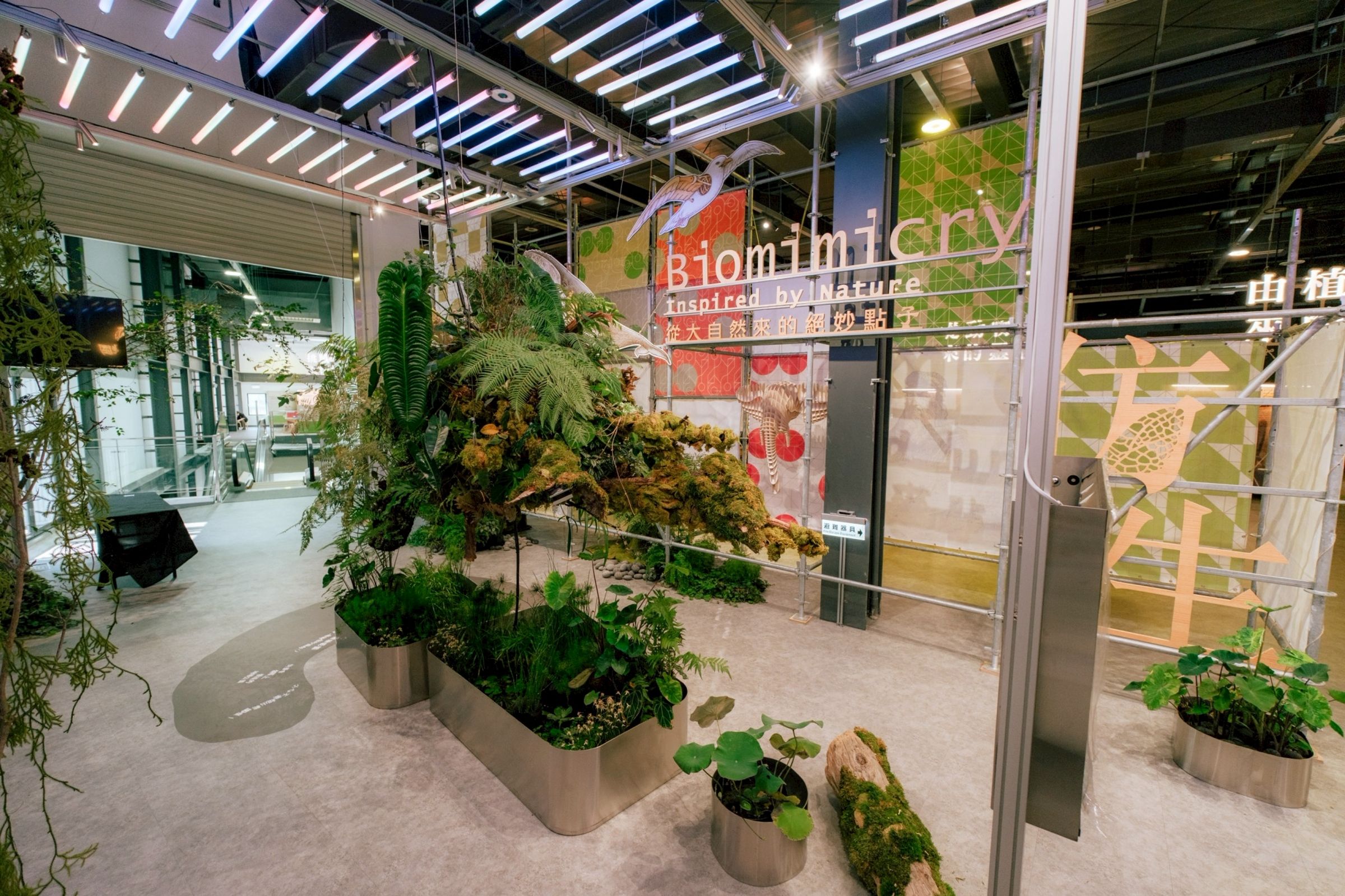 「仿生大解密:植入桃園的自然智慧」特展以大自然運作的方式帶入科普視角,讓市民透過沉浸式內容,更直覺理解環境與城市之間的連結。