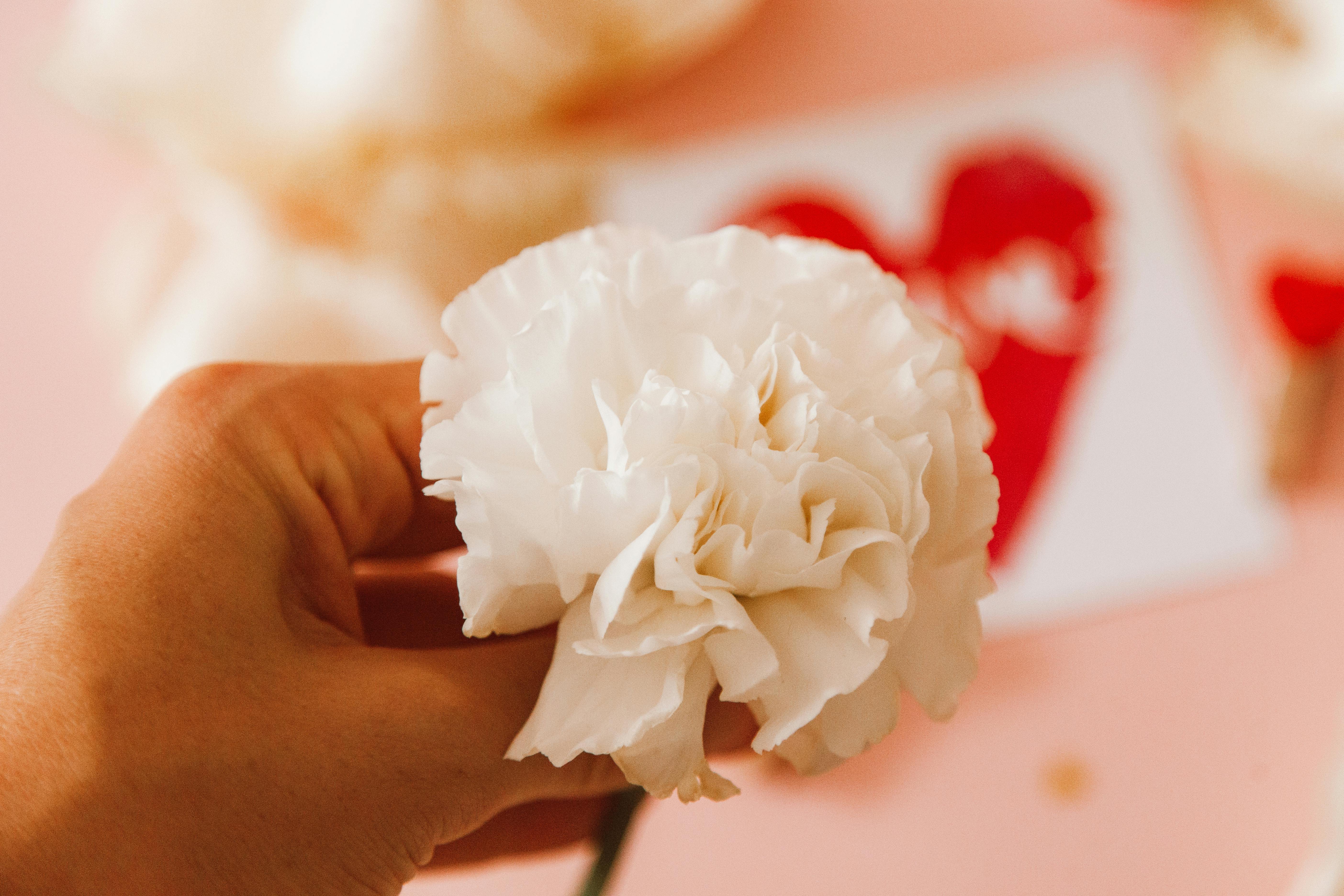 隨著一年一度的母親節即將到來，多數人都會選在近期回家陪伴媽媽過節、聚餐。（示意圖，取自pexels）