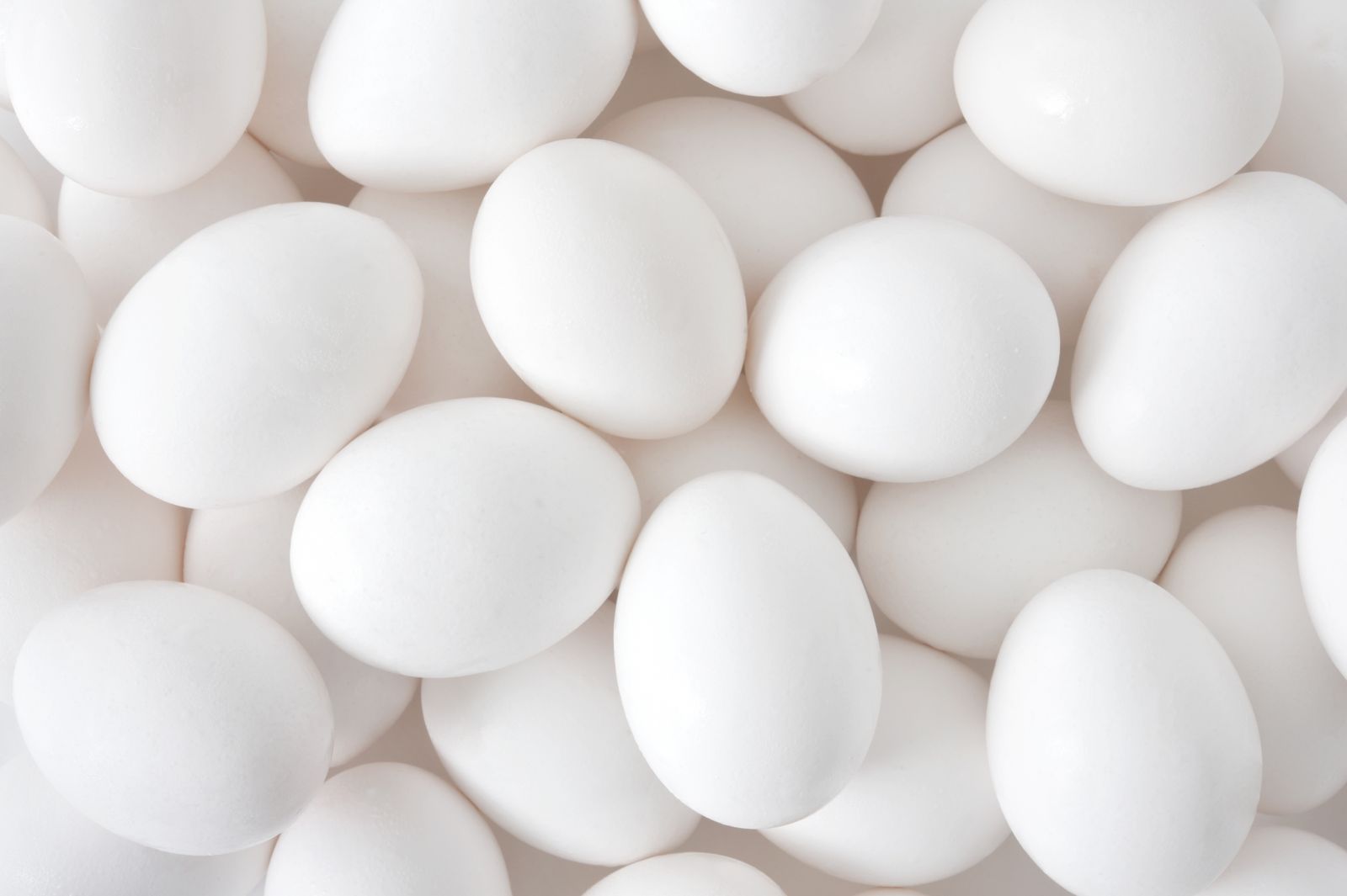 小顆蛋更營養美味？老鳥下蛋有大學問！