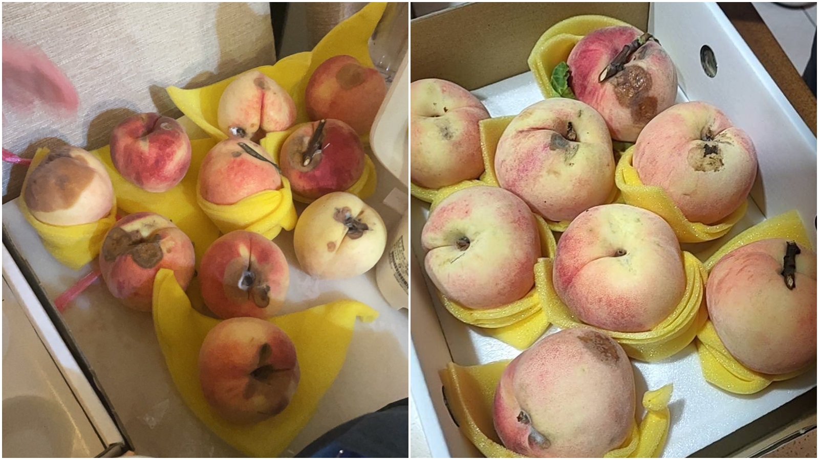 一名網友基於信任向老夫妻購買水蜜桃，並未親自一一確認，結果卻拿到一堆爛桃。（翻攝自臉書@爆料公社）