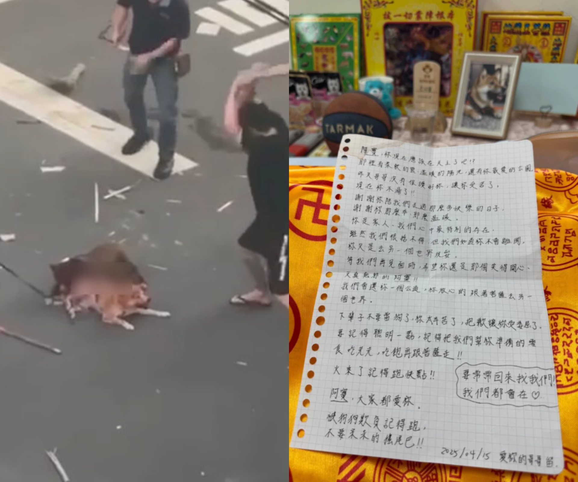 屏東縣一隻柴犬遭到比特犬咬死，飼主公開手寫信與柴犬告別。（合成圖，左翻攝臉書「屏東小鎮資訊」、右翻攝threads）