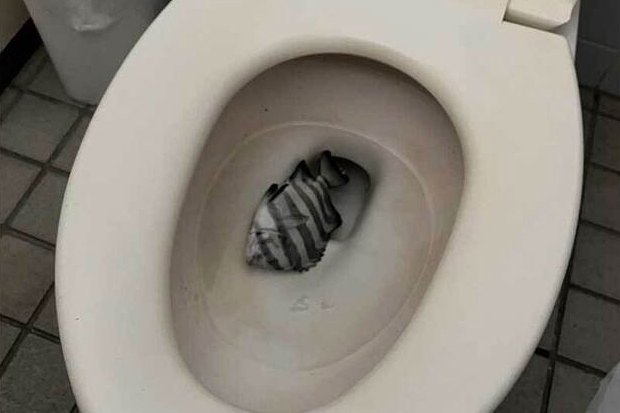 釣魚場附近廁所竟出現荒唐一幕。(翻攝畫面)