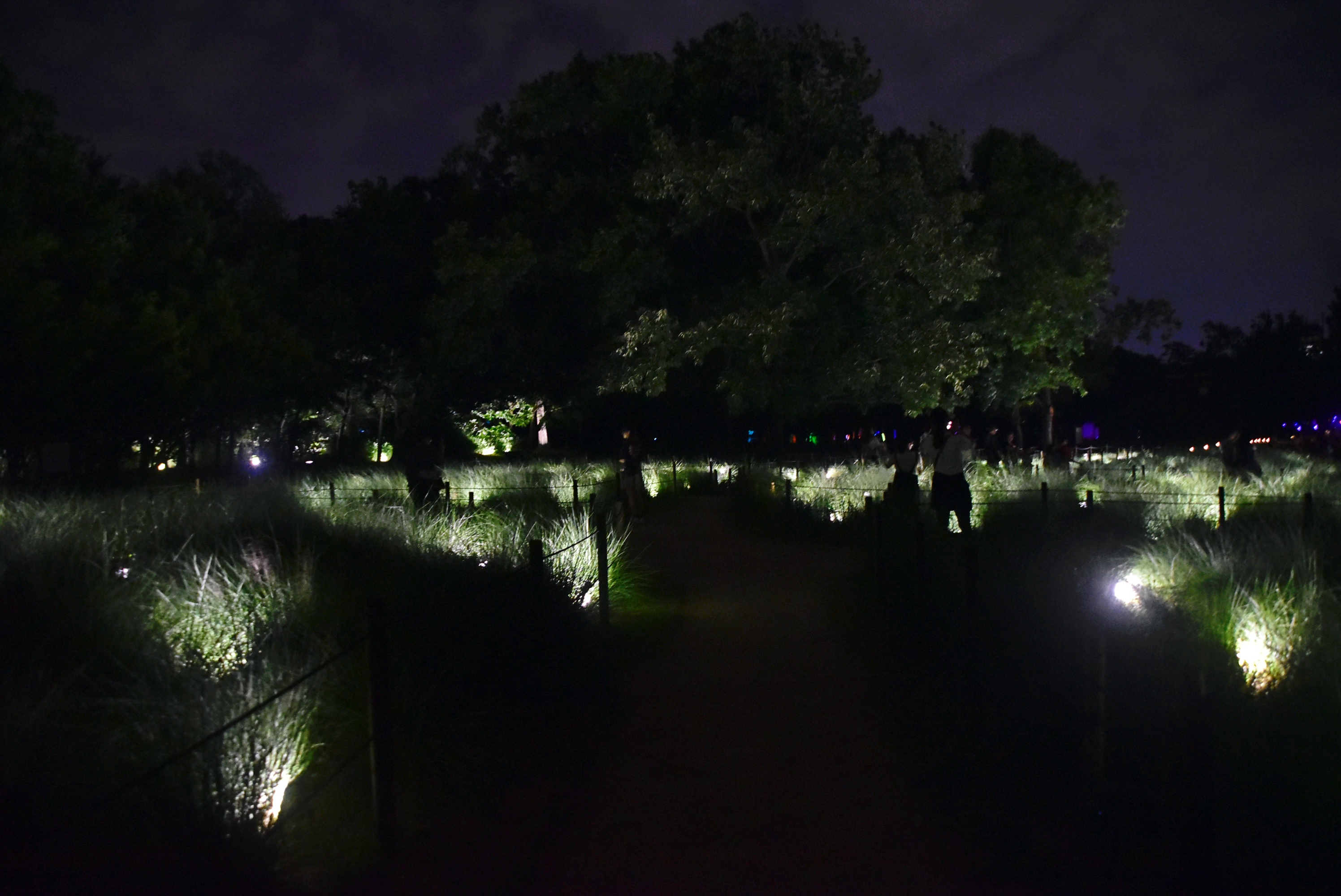 佔地24公頃的植物園，夜間變身光影樂園。