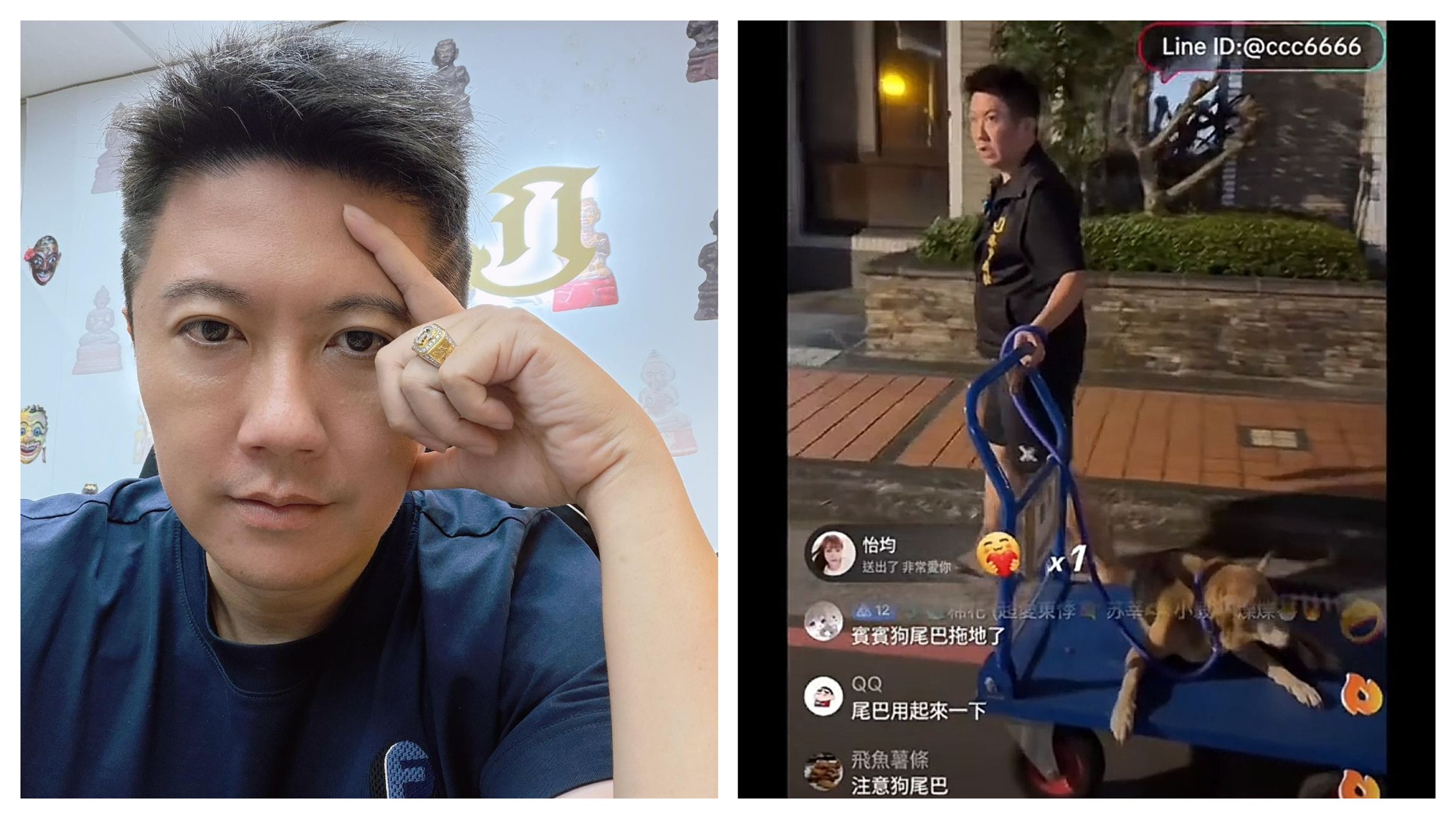賓賓哥直播將流浪狗從醫院接回公司暫養的過程。(翻攝自臉書)