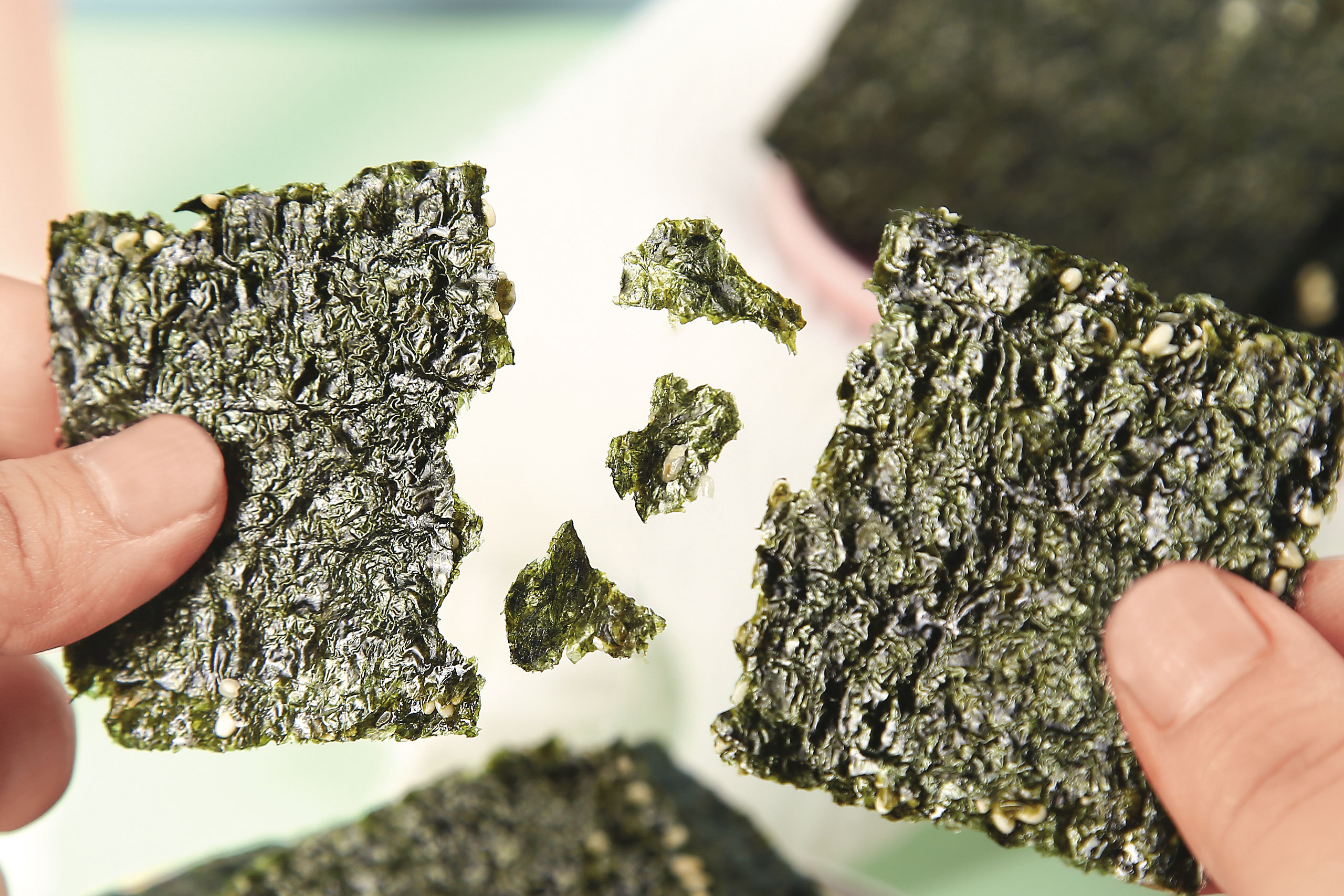 專家指出，海苔的原料是海藻，重金屬超標應與海藻生長的環境有關。示意畫面。（東方IC）