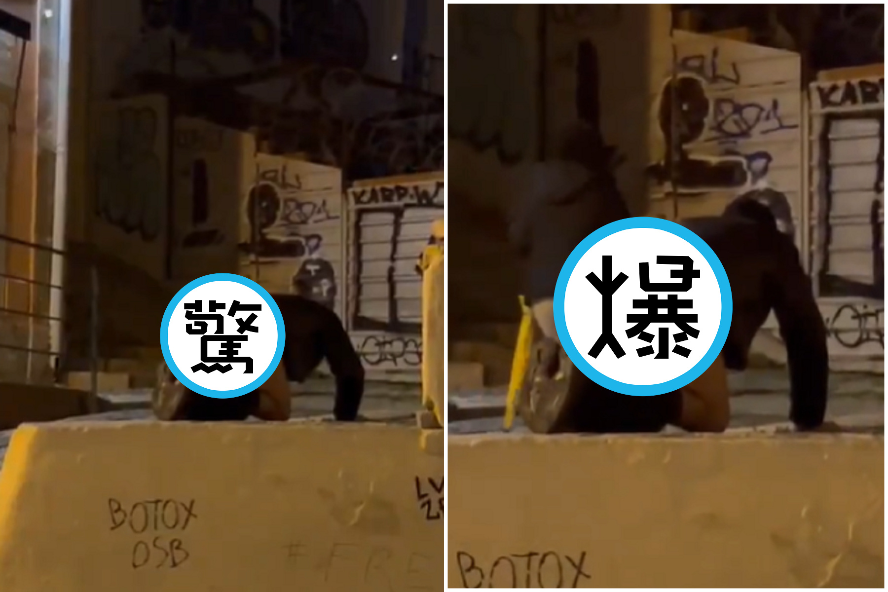 這尊「行動雕像」怪怪的！手連下體「神乎其技」驚呆鄉民。（翻自X平台）