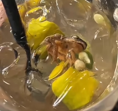 女子將驚人發現PO上社群平台，坦言已喝下部分飲料，事後直呼「噁心到不行」。（翻攝自ig @duniaresepi）