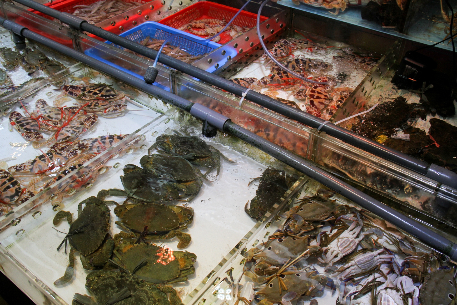 海產店員工爆料有客人幫吃素奶奶慶生,卻跑到海產店慶祝,事後還指責店家毀人修行。(示意圖,photoAC)