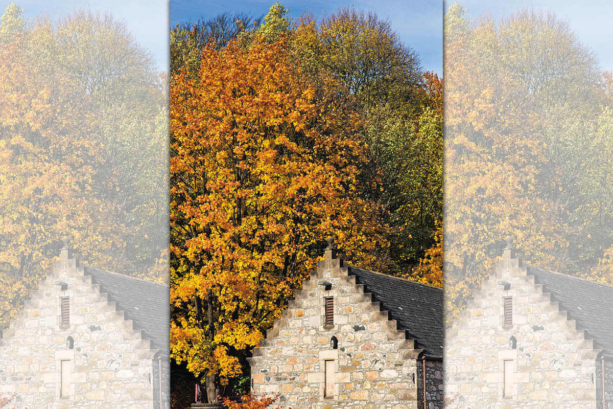 創立於1840年的格蘭冠享有「花園酒廠」的美譽，在近200年的歷史裡，不斷精進釀酒工藝，讓格蘭冠威士忌呈現美麗的花果香氣與純淨高雅的口感，也成為品牌核心基調。