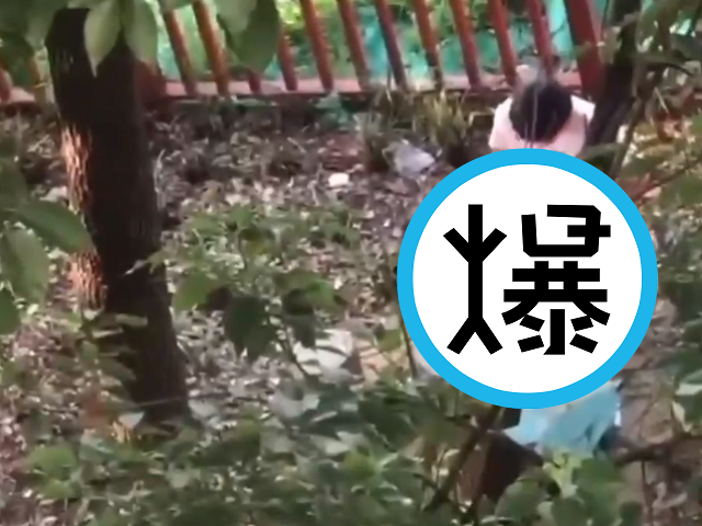 情侶在校園樹林裡「超自然震動」，無畏活春宮任人拍！學校說話了。（翻自《91吃瓜中心》）