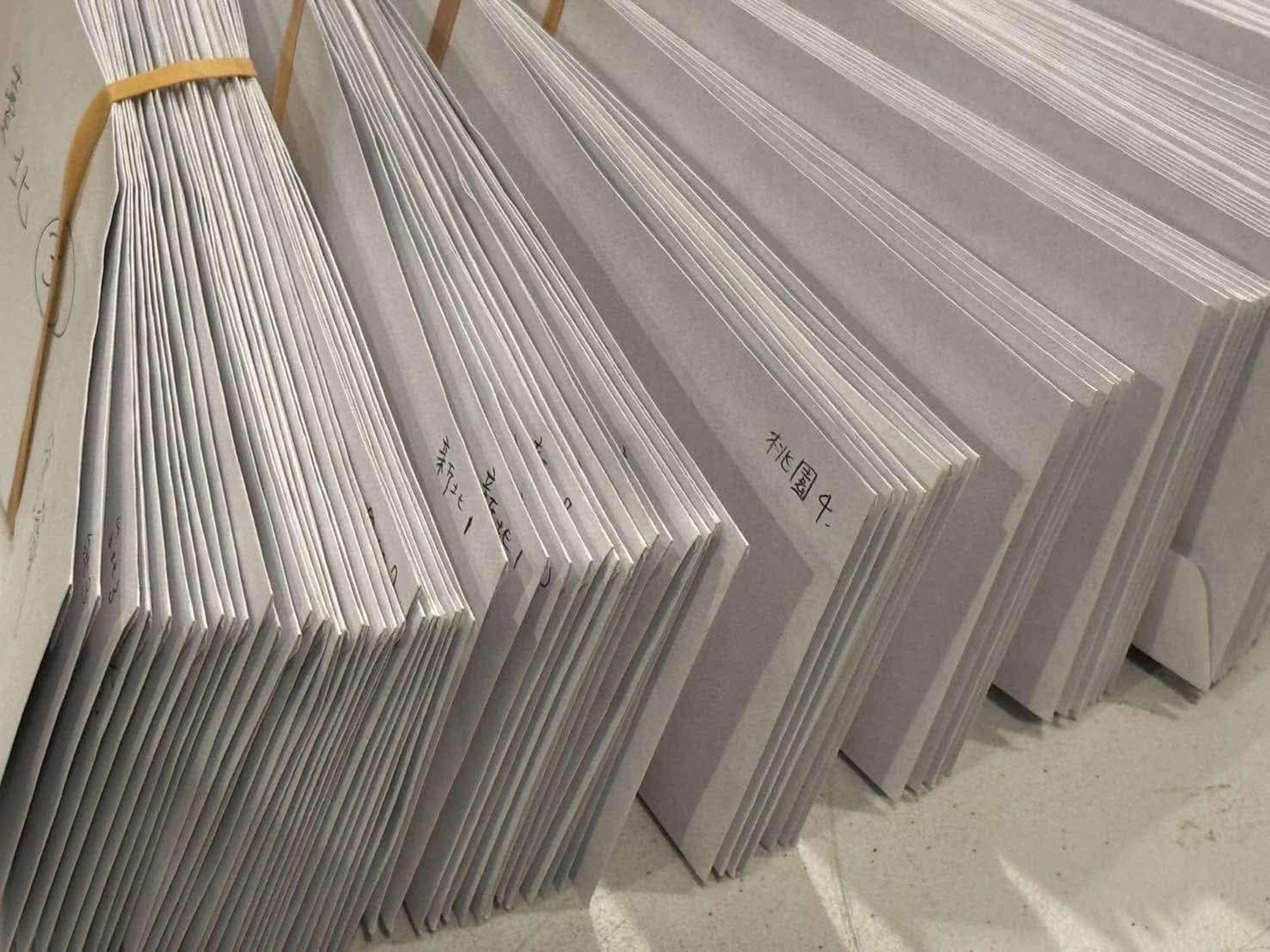 美國罷團將從各地收到的罷免連署書寄回台灣。(讀者提供)