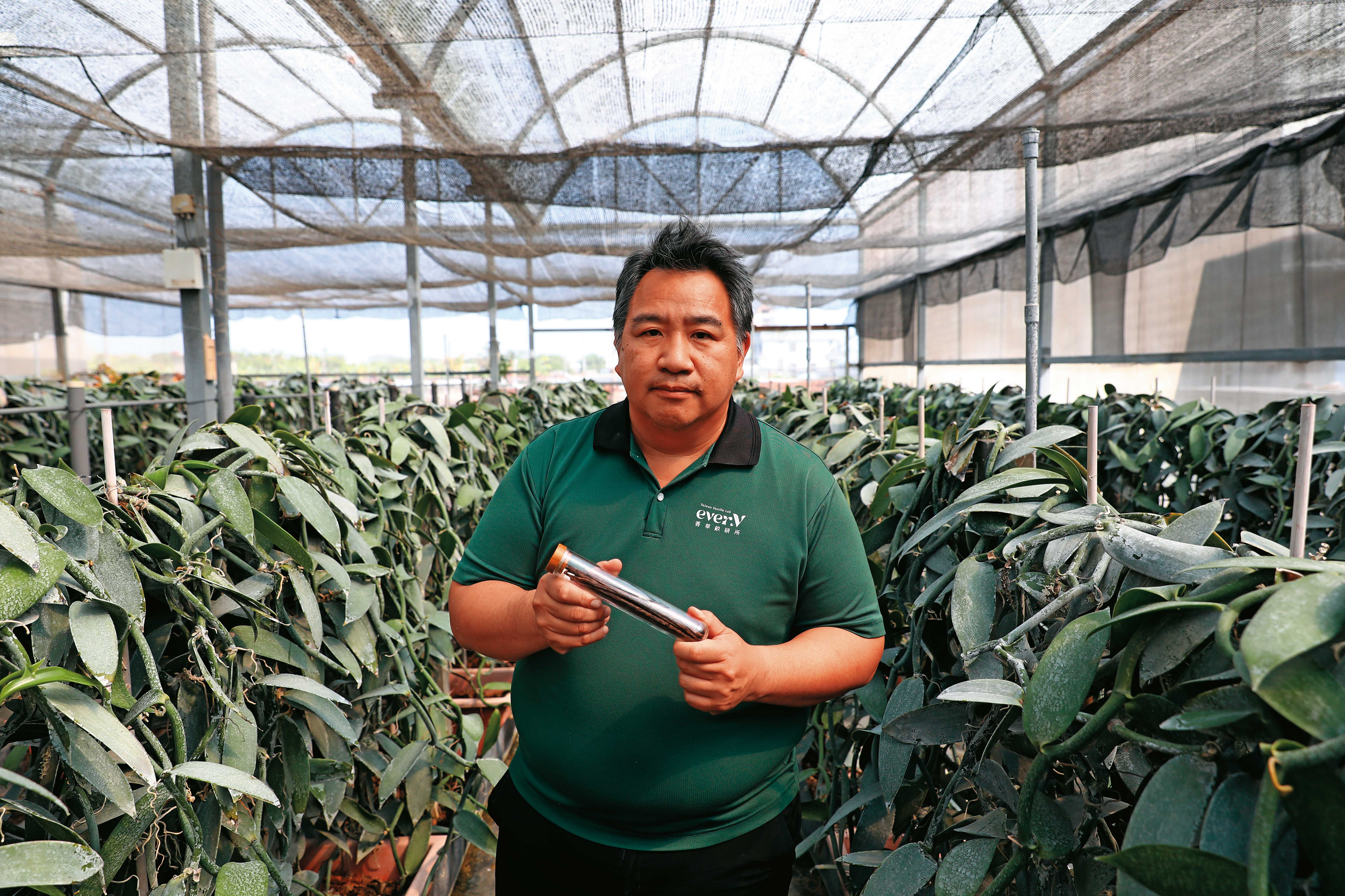 林桐榮是台灣較早與光電商成功合作的農民，其種植的香莢蘭經濟價值高，烘乾熟成後的果莢國際價格約1公斤250美元。