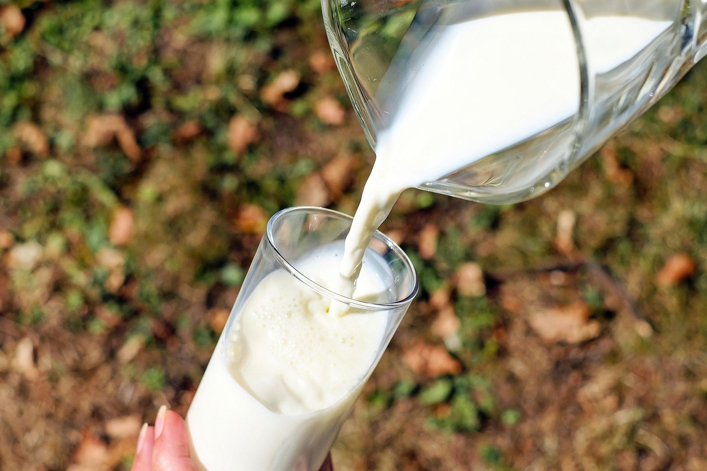 研究提醒低脂乳製品要注意是否用糖或精緻澱粉來填補熱量。(示意圖,pixabay)