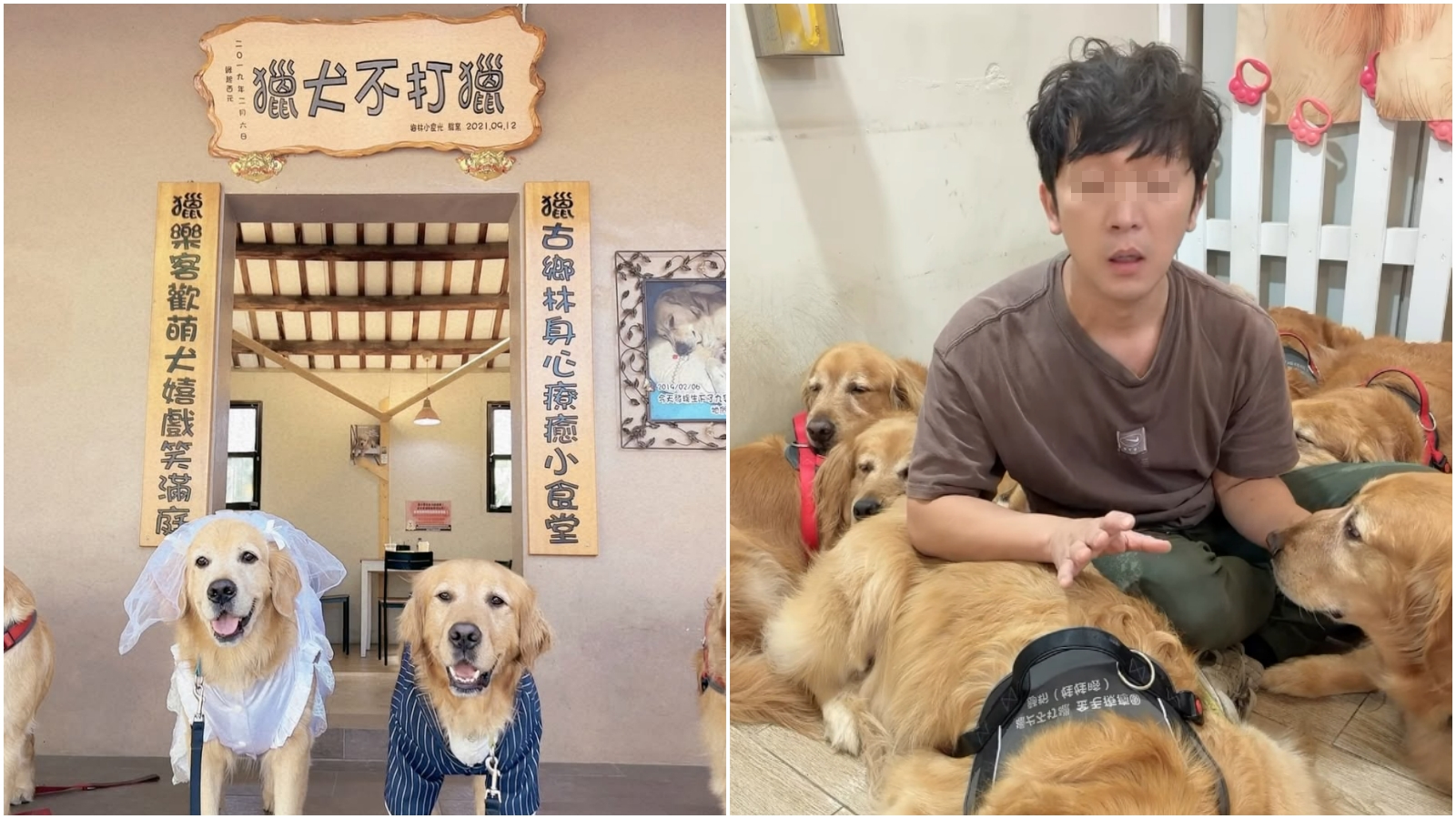 苗栗寵物餐廳「獵犬不打獵」老闆坦承虐狗，稱是為了「勸架」。（翻攝IG）