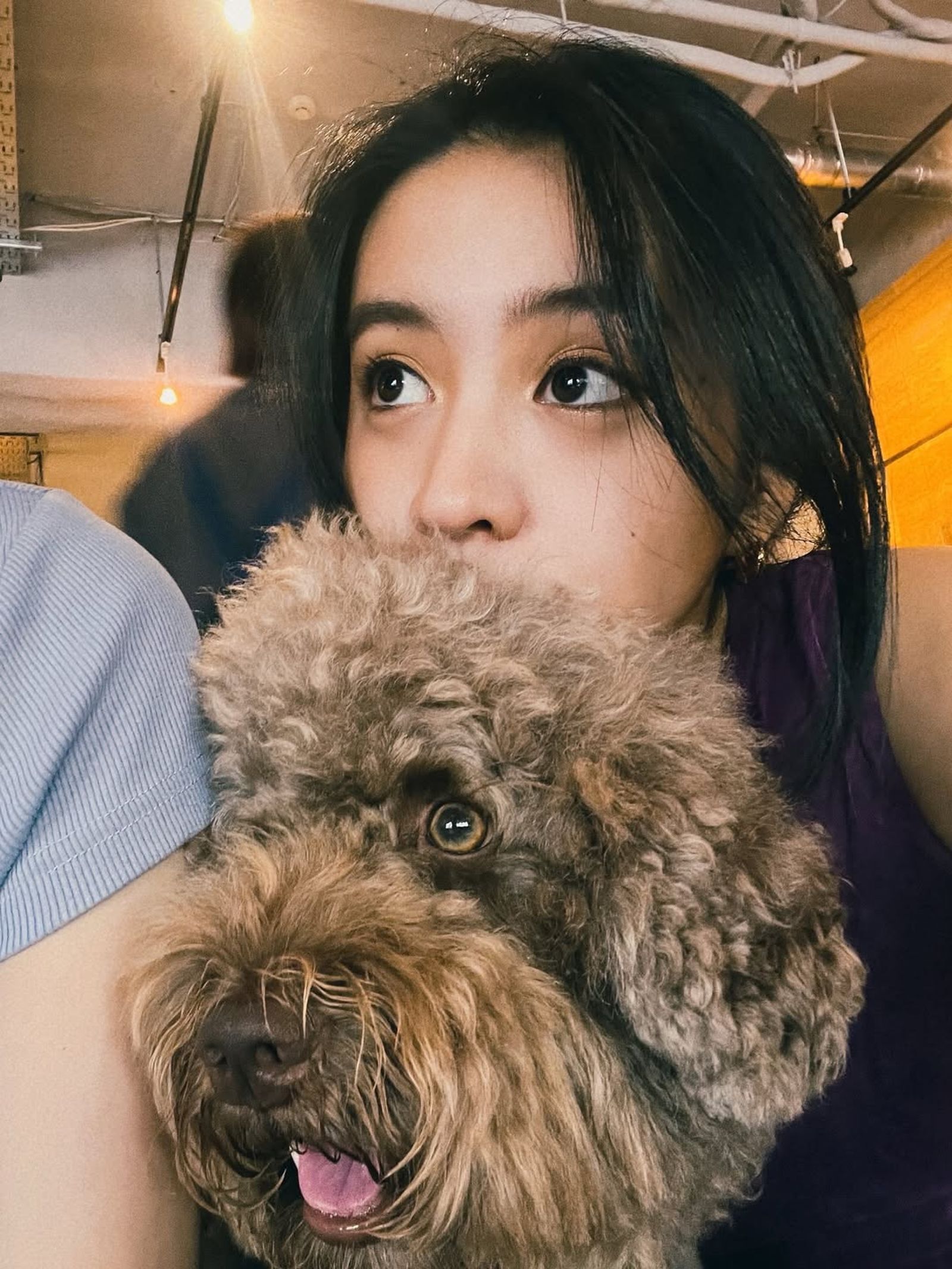 光希黏著狗狗,氣氛溫馨。(翻攝koki IG)