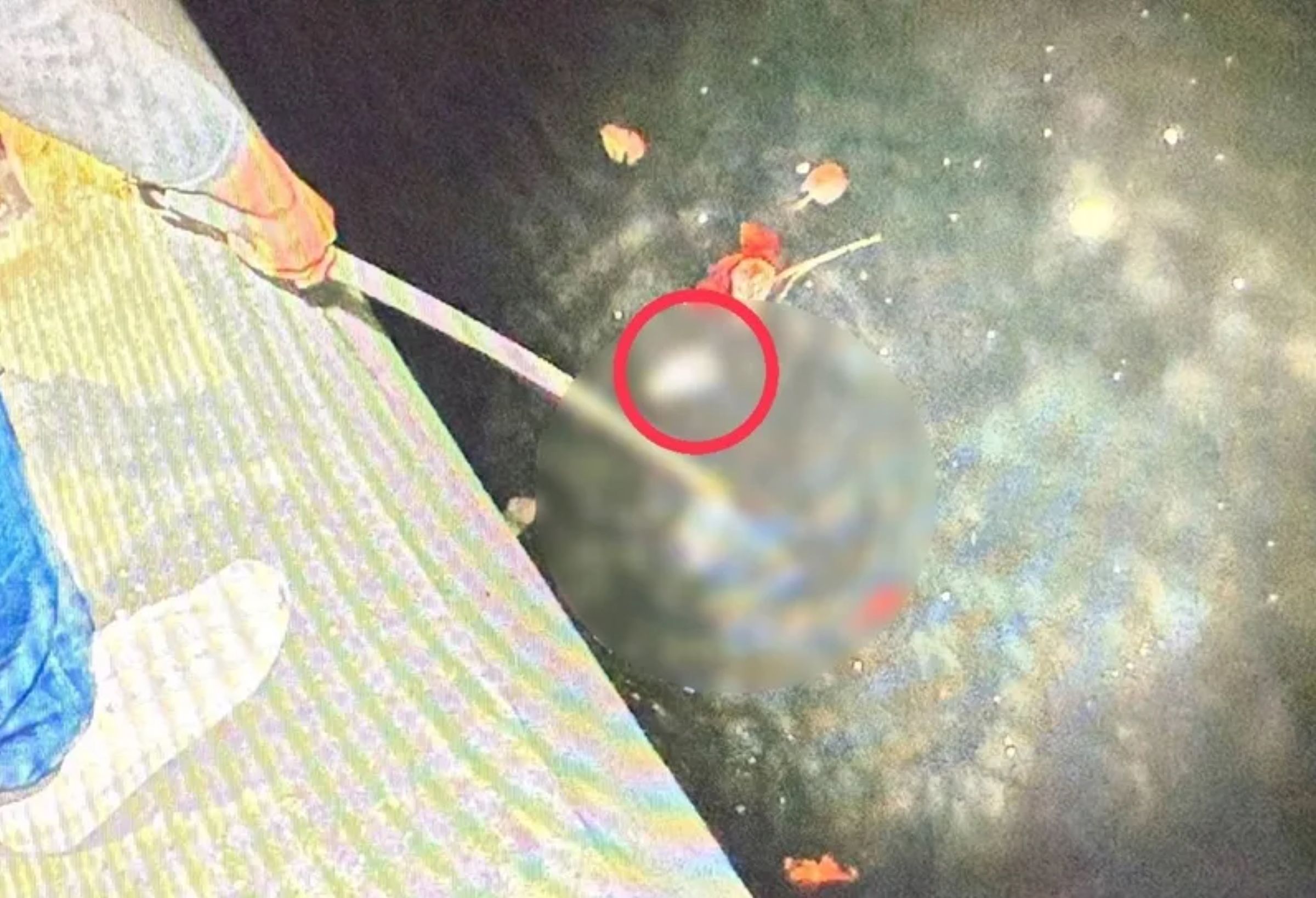 高雄市碎屍案件今天下午有了新進度，警方在前鎮運河打撈出一隻斷手，有待相關單位近一步鑑定釐清。（翻攝畫面）