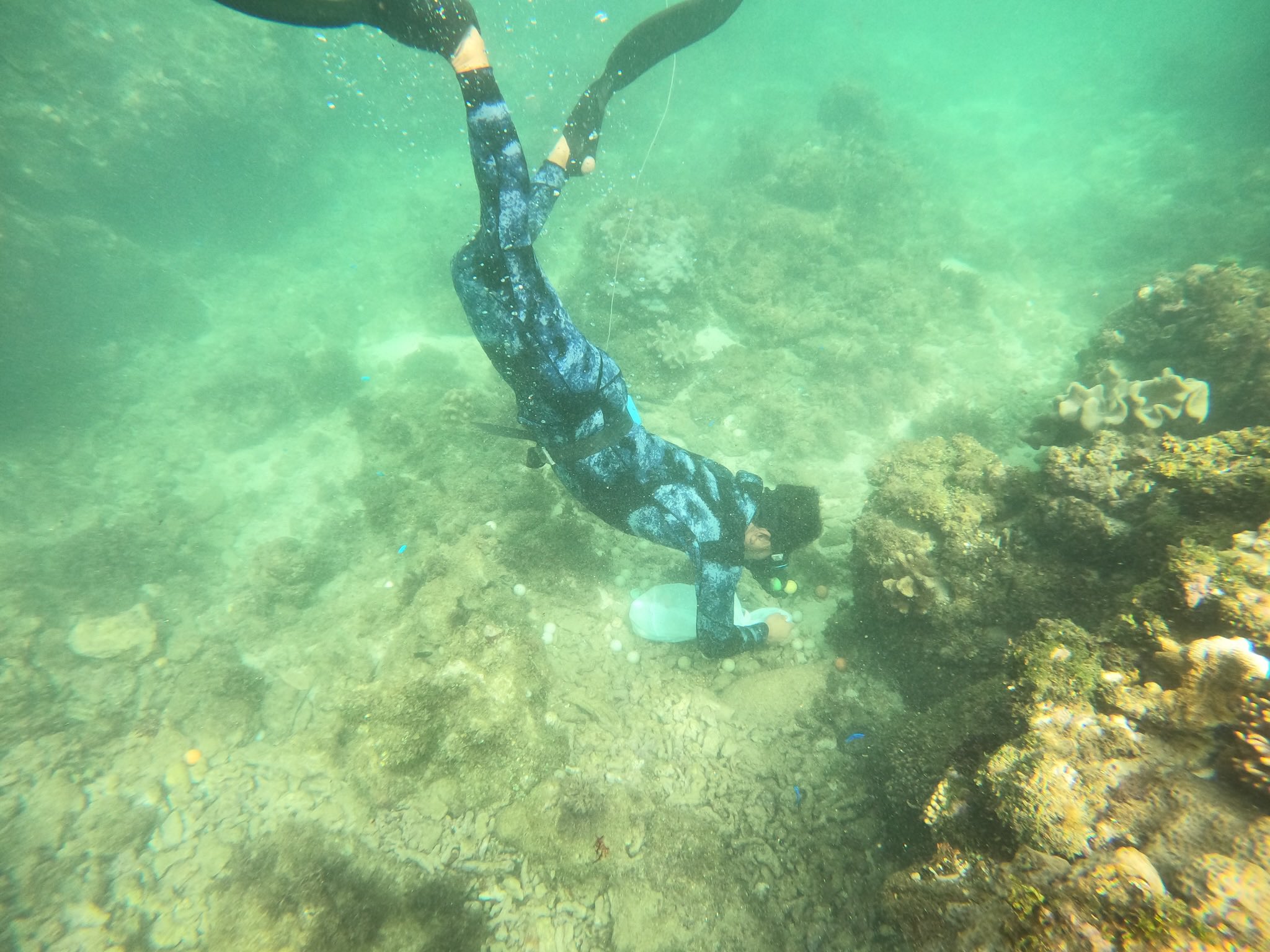 日本沖繩縣離島「宮古島」某海底竟堆積了5千多顆高爾夫球,引起海洋環境疑慮。(翻攝自推特@a4444888)