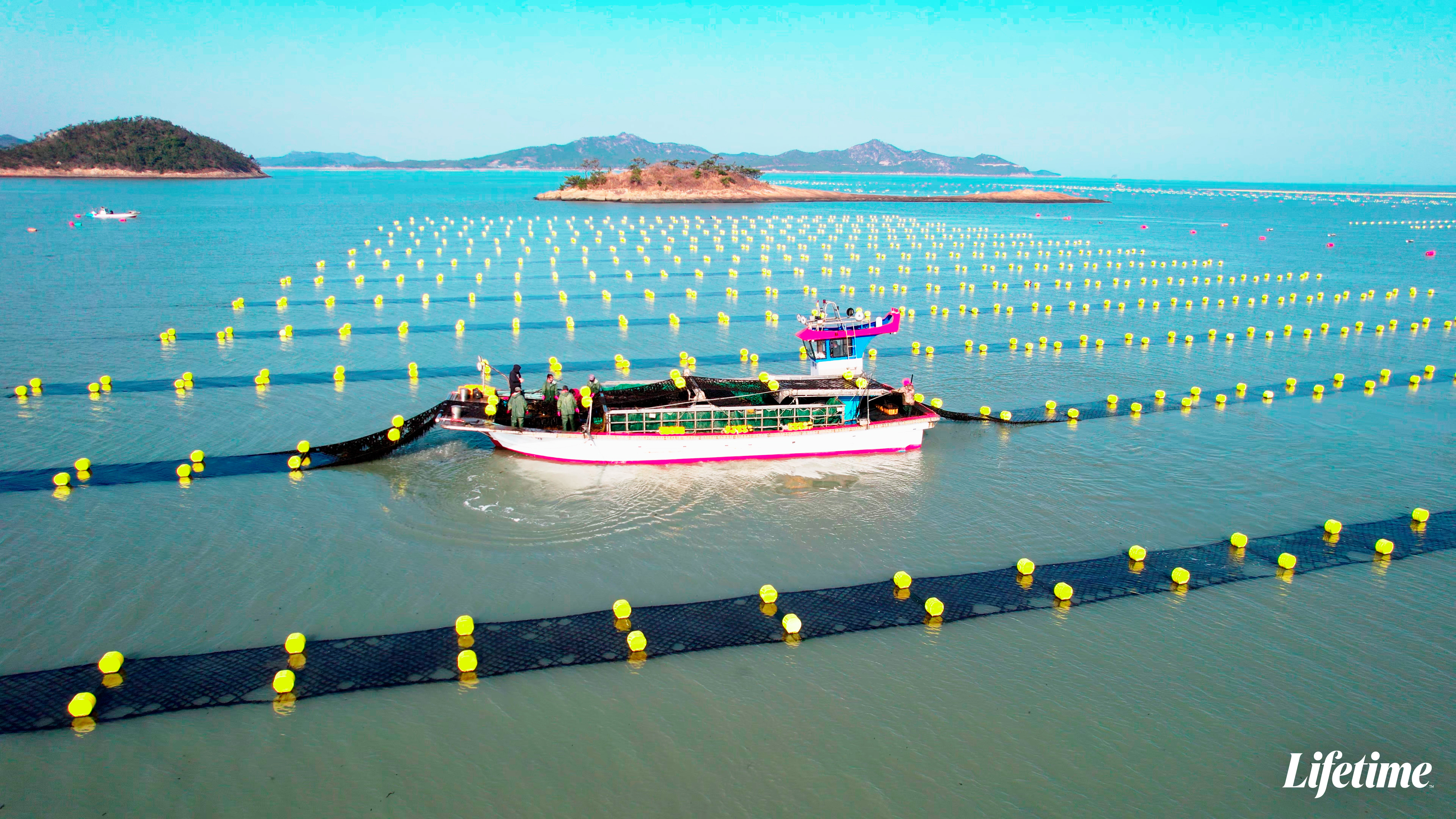 安成宰到韓國最大紫菜產地莞島 (Wando),親自走訪養殖海域、加工工廠與產業現場。