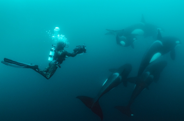 國家地理影集《鯨之謎》推出同名交響音樂會，本週六在台中舉行亞洲首演。（牛耳藝術提供）