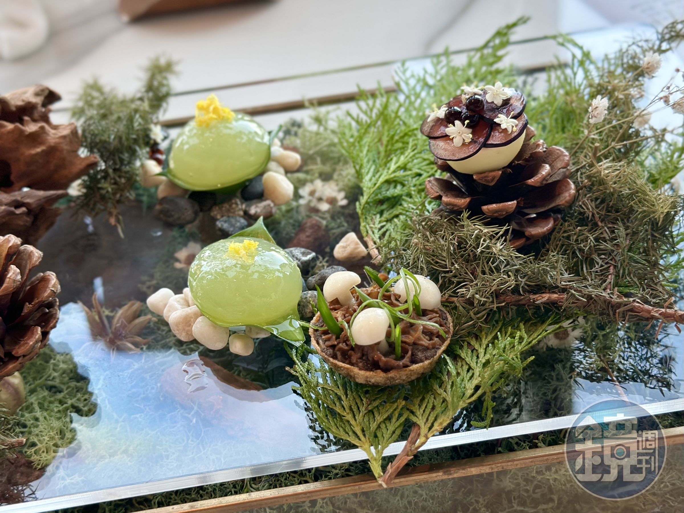 「開胃小點」與花藝品牌「煙花蕨醒」合作,讓擺盤更有森林氣息,3款小品氣味豐富,能喚醒味蕾。(晚間套餐菜色)