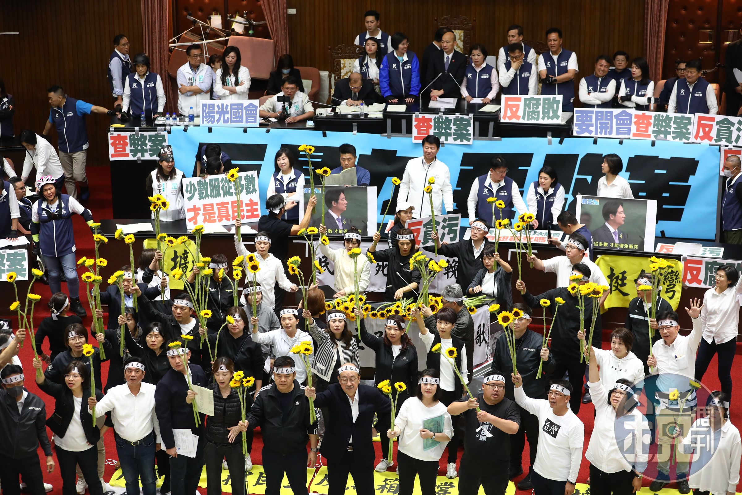 立法院內晚間變成「開滿太陽花」,綠委們人手一花表達訴求。