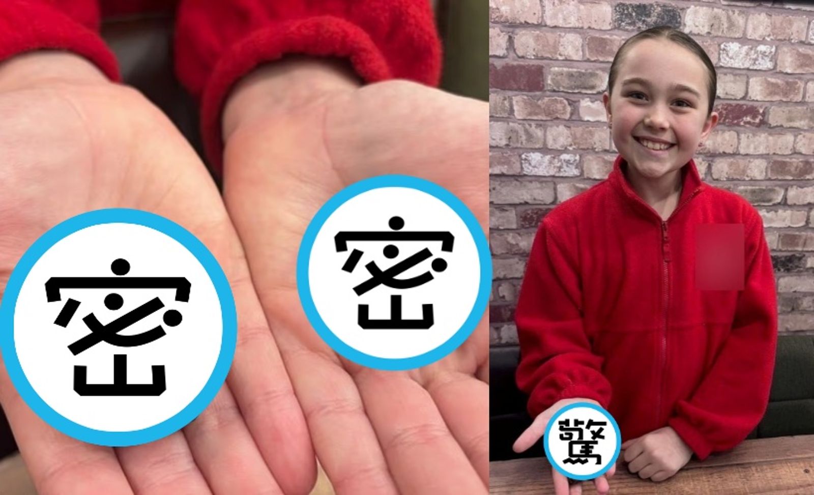 想和全世界分享!9歲童海灘發現「45億年前隕石」 專家鑑定:可能來自消失行星