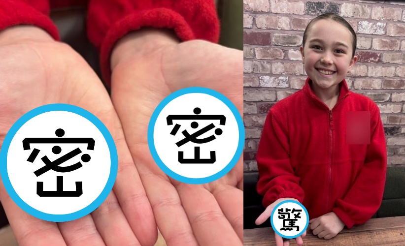 威爾斯9歲女童在彭納斯碼頭海灘意外發現「比地球還古老的稀有隕石」，引起科學界關注。（翻攝自X/@NeuralSpace_）