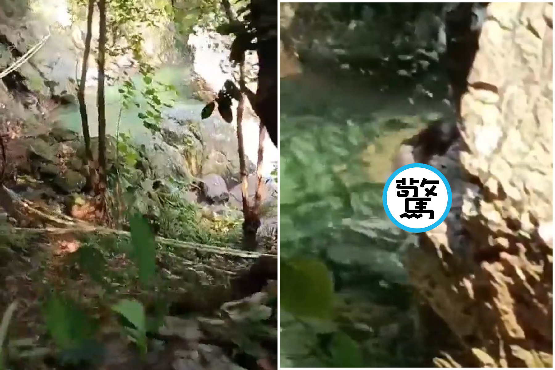 叢林戲水驚見「正妹碎大石」，河裡上上下下引人遐想。（翻自X平台）