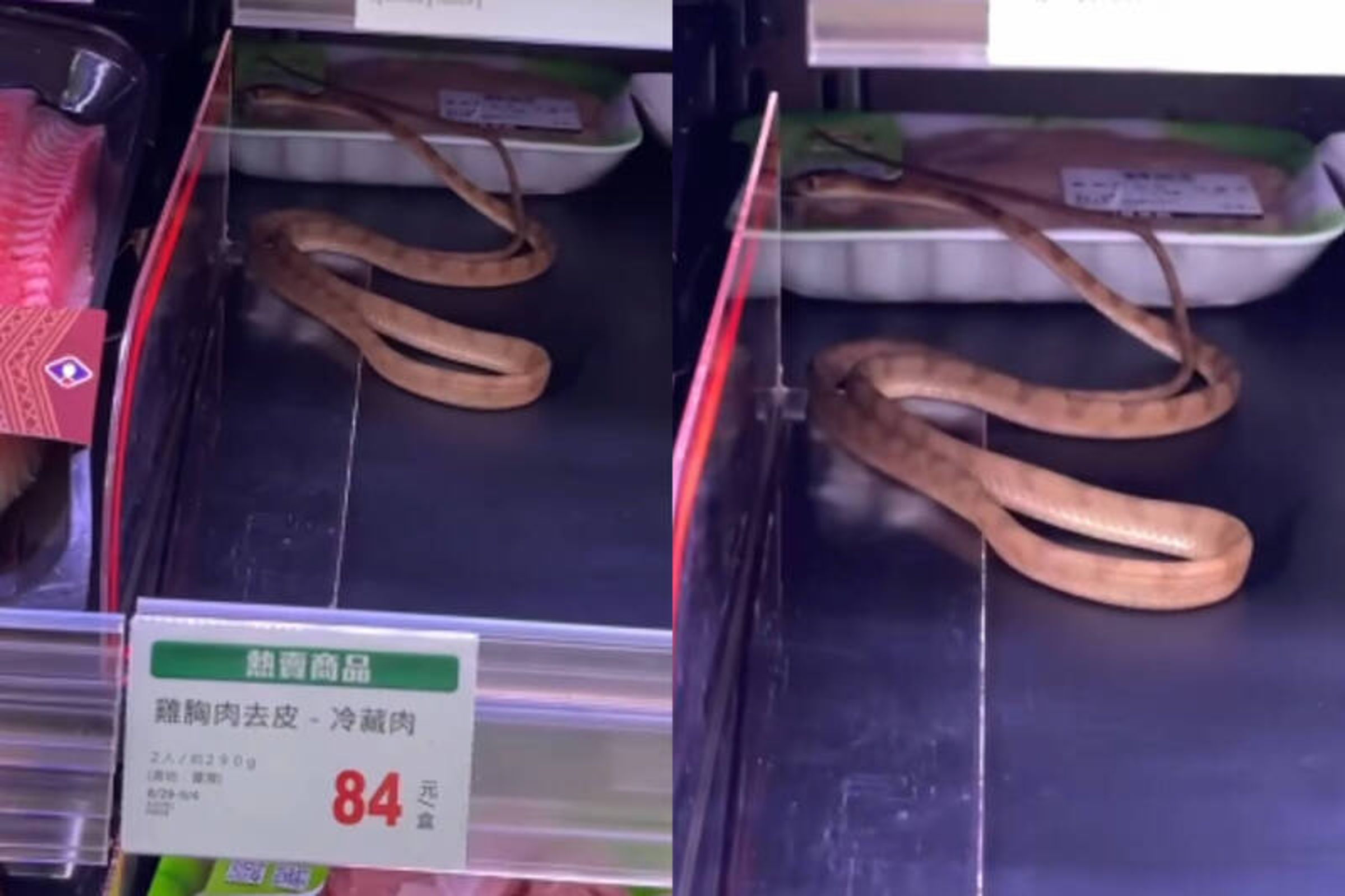 網友曝光直擊影片，也澄清「這絕對不是我放的，誰會那麼有毛病，在假日全聯人來人往的時候放蛇上去，還不被發現啊？」（翻攝自臉書@爆廢公社）