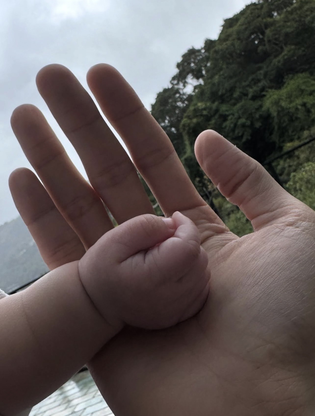 博文捧著女兒的小手，宣告成了爸爸。（翻攝自博文IG）