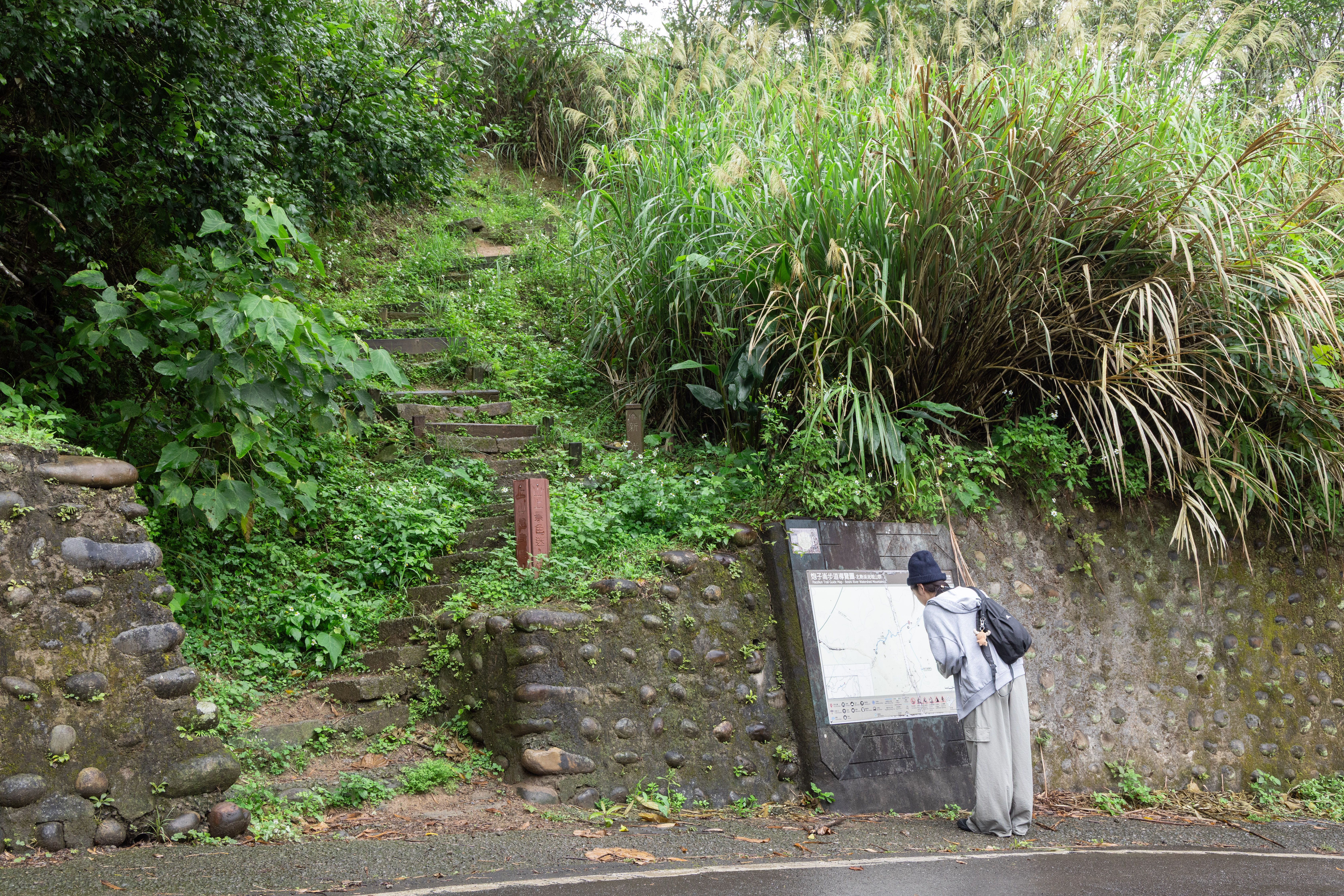 「炮子崙步道」又稱「茶山古道」,昔日是新北市深坑炮子崙地區與台北市木柵草湳間往來的重要道路。