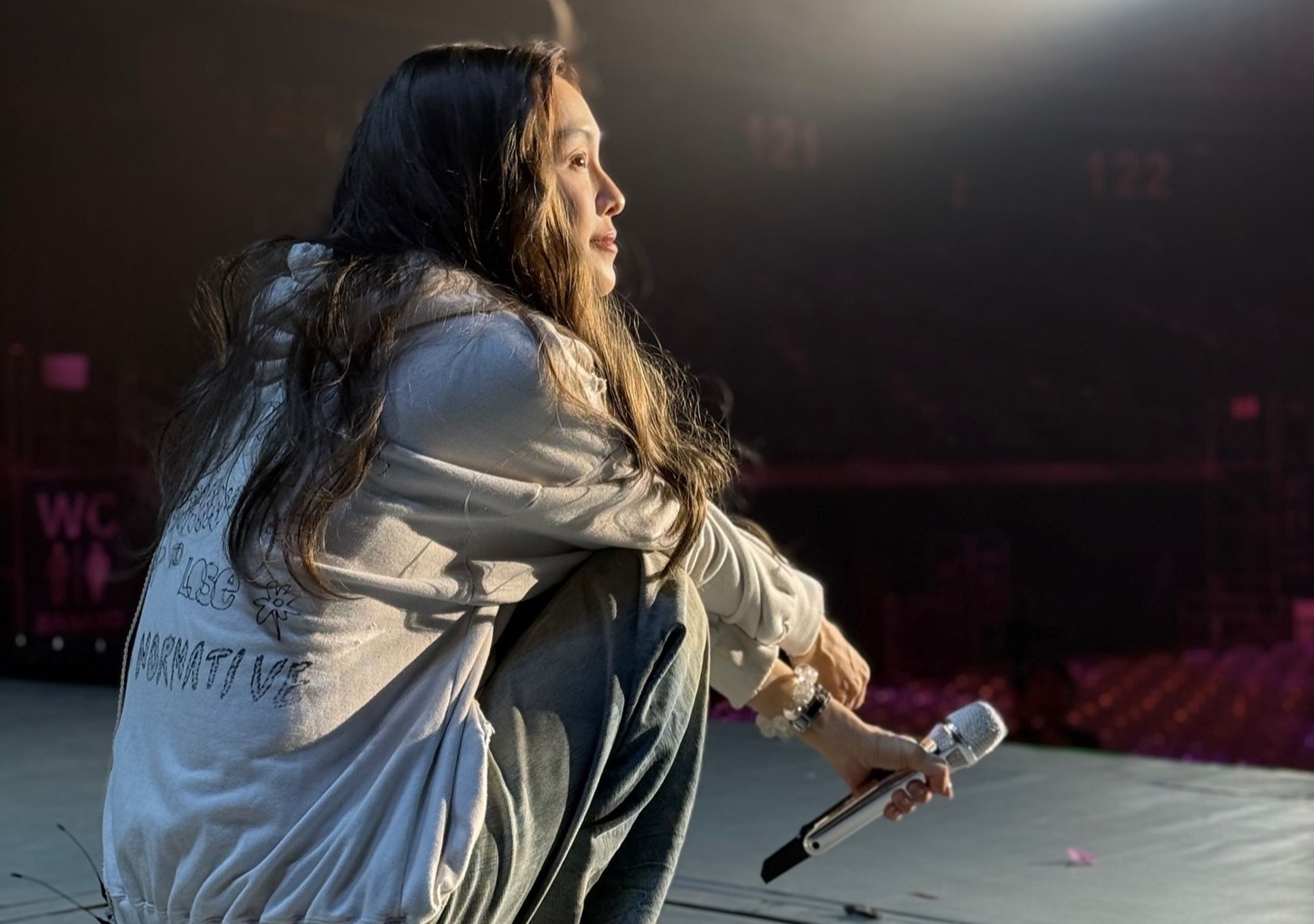 范瑋琪在中國遼寧的演唱會突然「延期」,中國網友透露只有最低票價賣完。(翻攝自范瑋琪臉書)