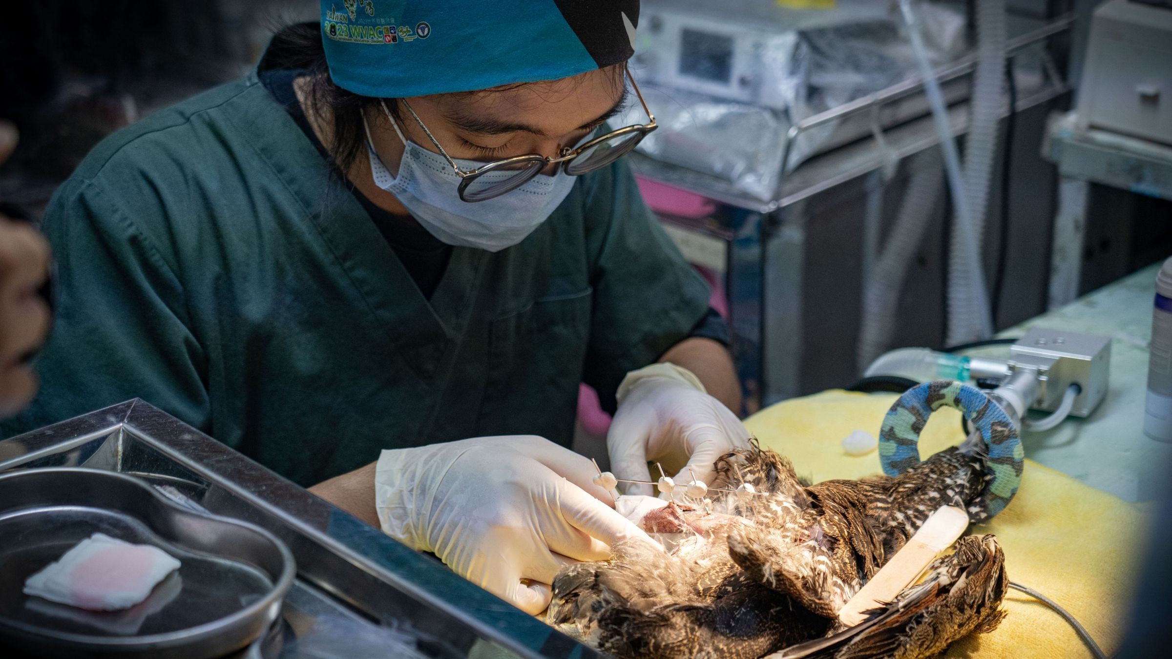 野生動物獸醫郭昱德坦言雖然無法靠工作賺大錢,但內心充滿喜悅。(圖/公視提供)