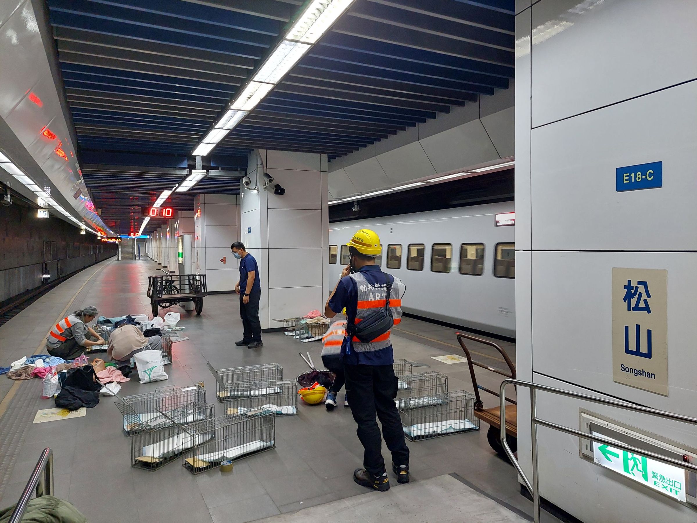 台鐵松山車站有民眾帶貓搭車,卻發生貓咪從籠子裡逃出、跑到軌道區不見蹤跡的事件,台鐵與動保人員連日搜捕仍未果。(北市動保處提供)