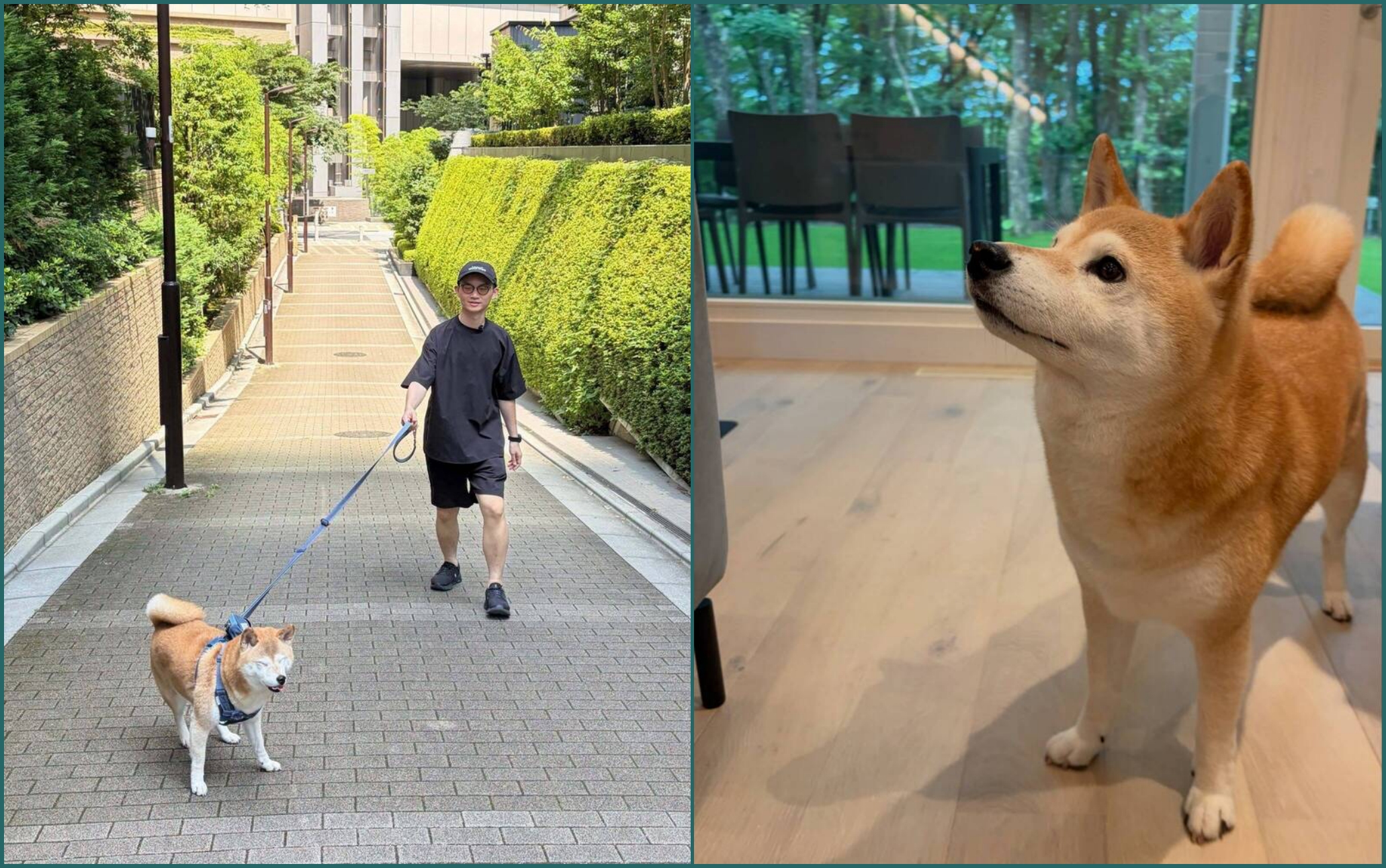 視網膜帶著愛犬柚子旅居日本,因住處公共區域水漬遭懷疑是狗尿,兩度寫信抗議,最終等到管理室道歉。(臉書)
