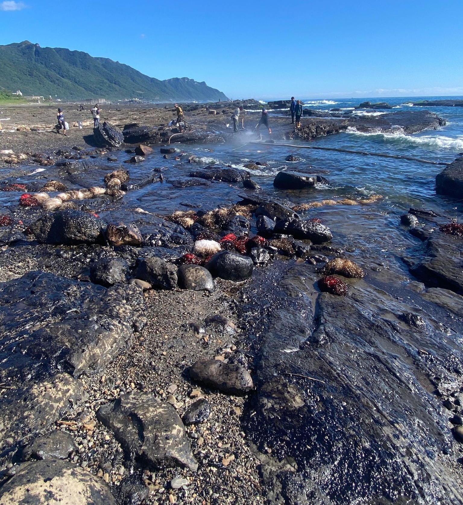環保團體在宜蘭大里拍攝到濃厚的重油汙覆蓋在礁岩上。（綠島長期社會生態核心觀測站提供）