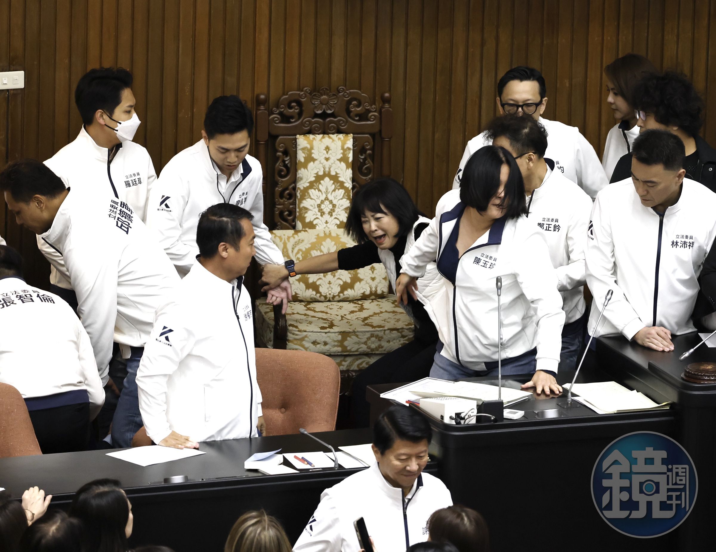 藍綠立委大亂鬥導致10人被起訴，其中包括陳玉珍等7名藍委。（本刊資料照）