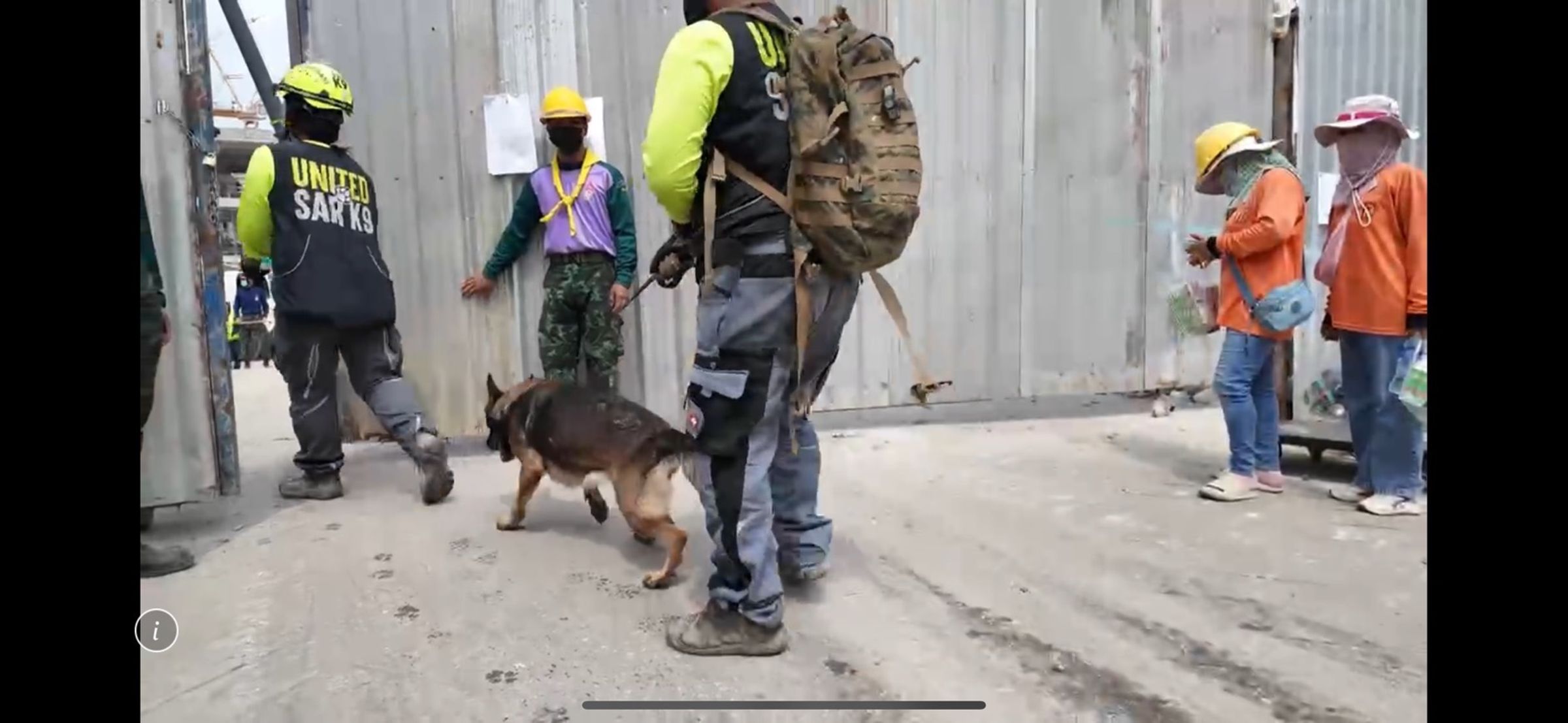 搜救犬早上進入現場協助搜救。(翻攝畫面)