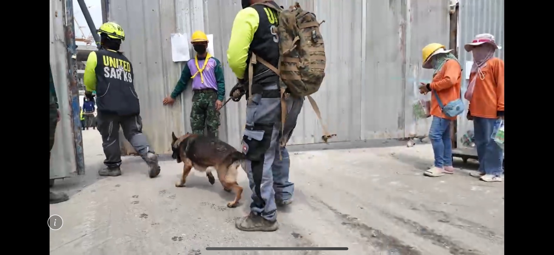 搜救犬早上進入現場協助搜救。（翻攝畫面）