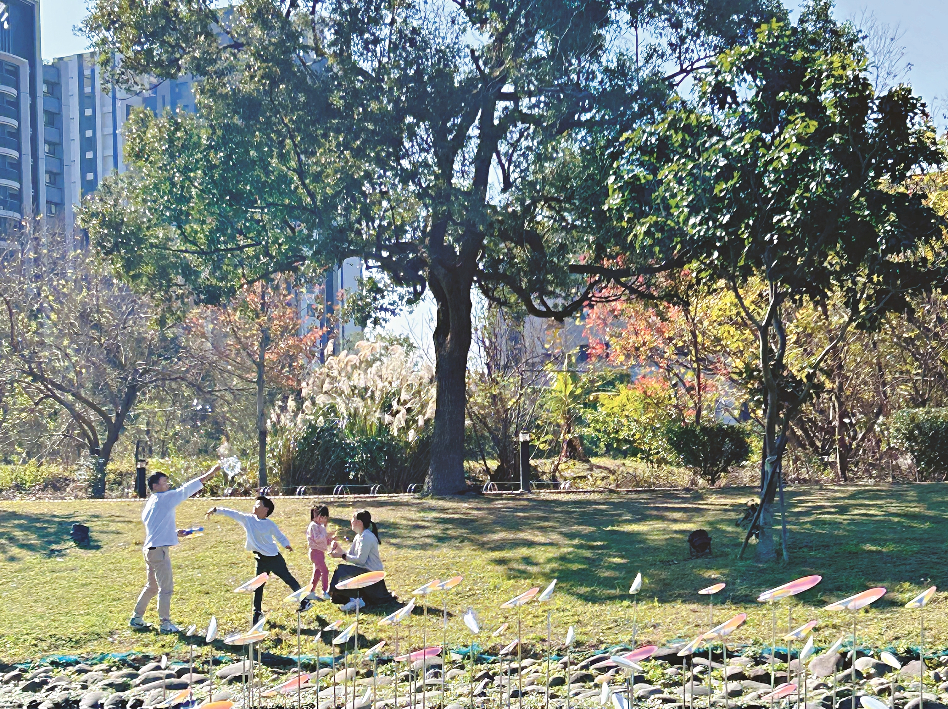 竹縣真實流動的共融日常。（鄭兆婷攝）